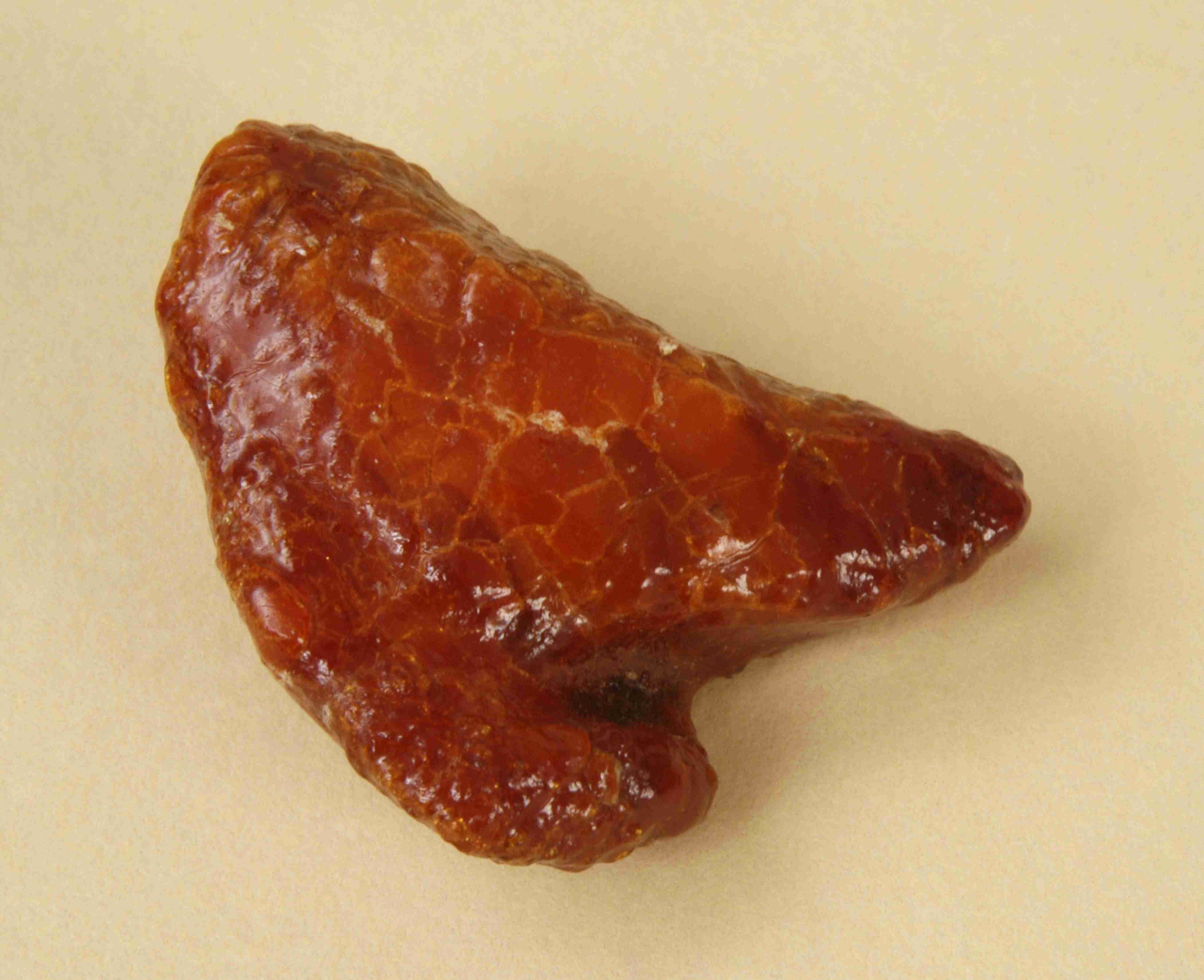 Náhledový obrázek Korál (část) - 2
