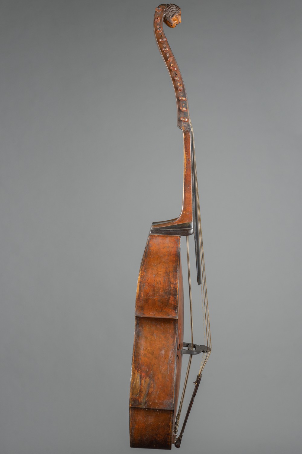 Náhledový obrázek Viola di bardone - 4