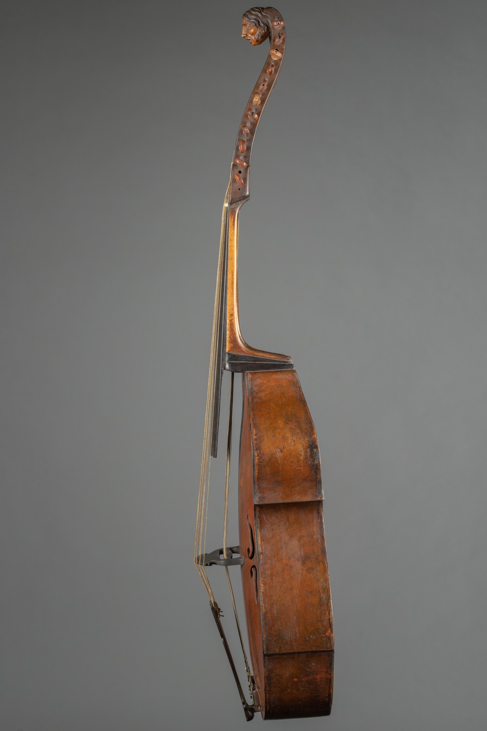Náhledový obrázek Viola di bardone - 3