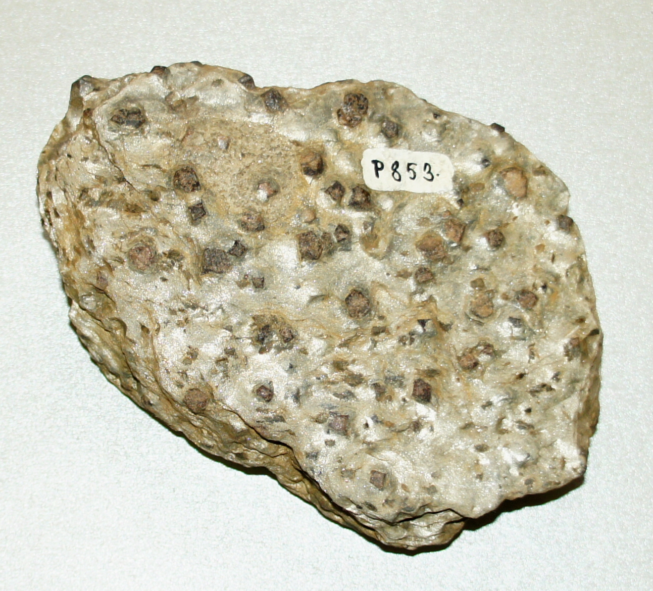 Náhledový obrázek Svor granátický - 1