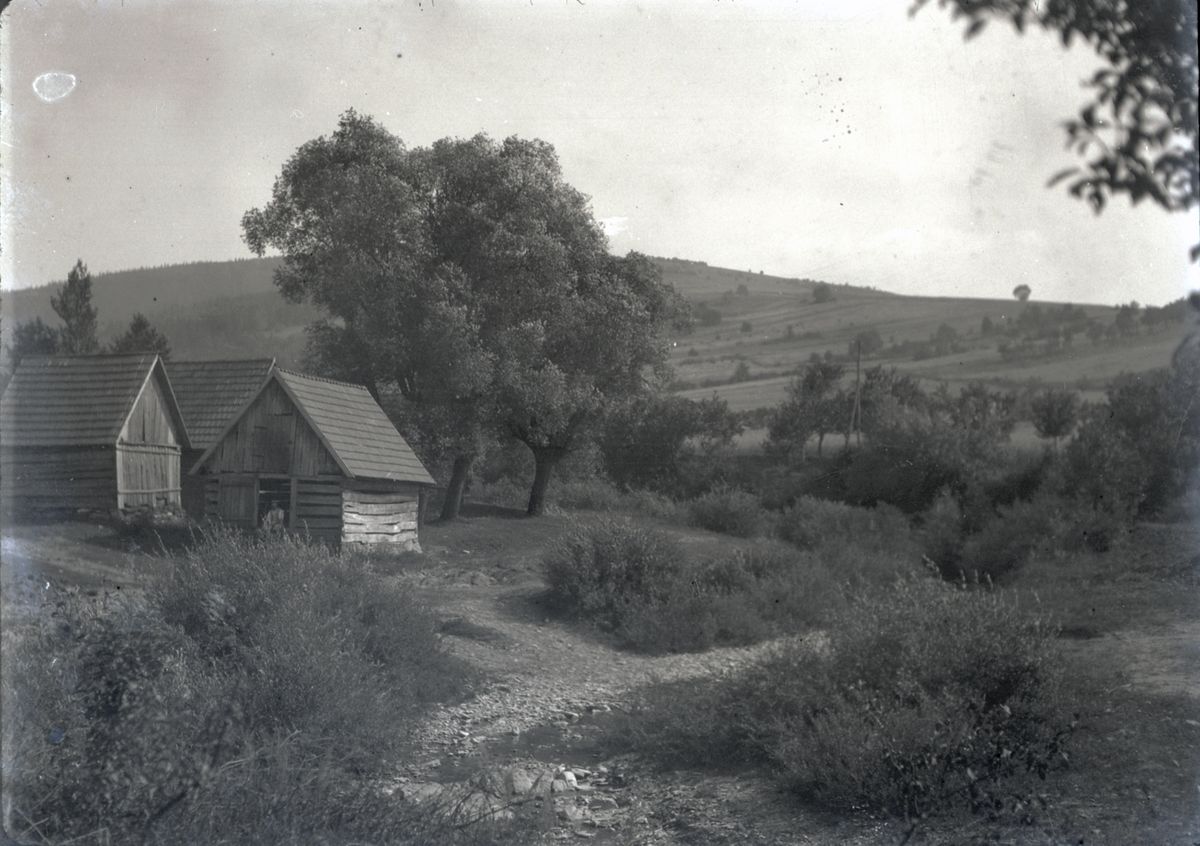 Náhledový obrázek Javorník - 1
