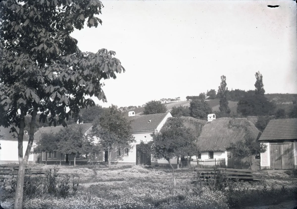 Náhledový obrázek předmětu Radějov
