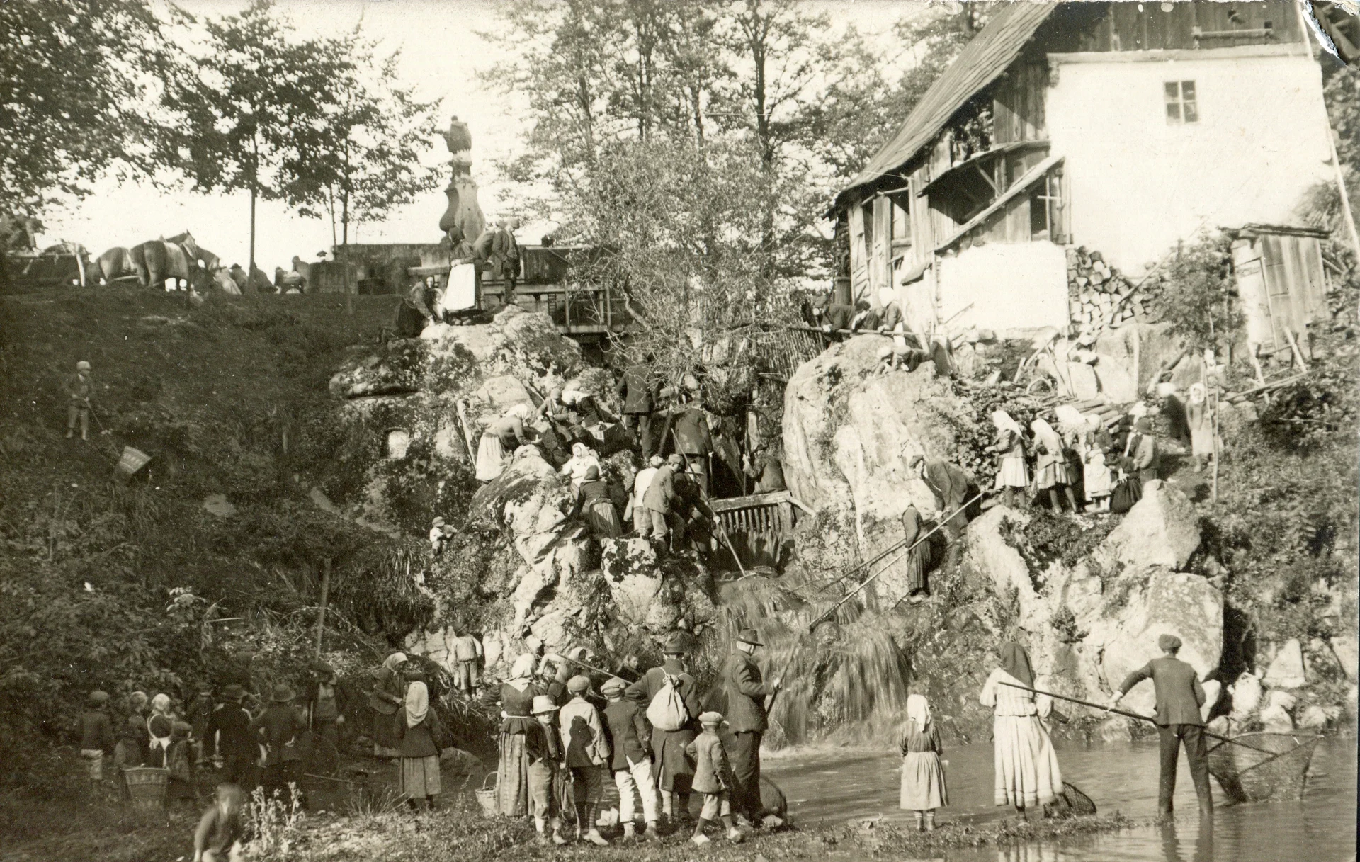Náhledový obrázek předmětu Fotografie "Netolice výlov Mnichu"