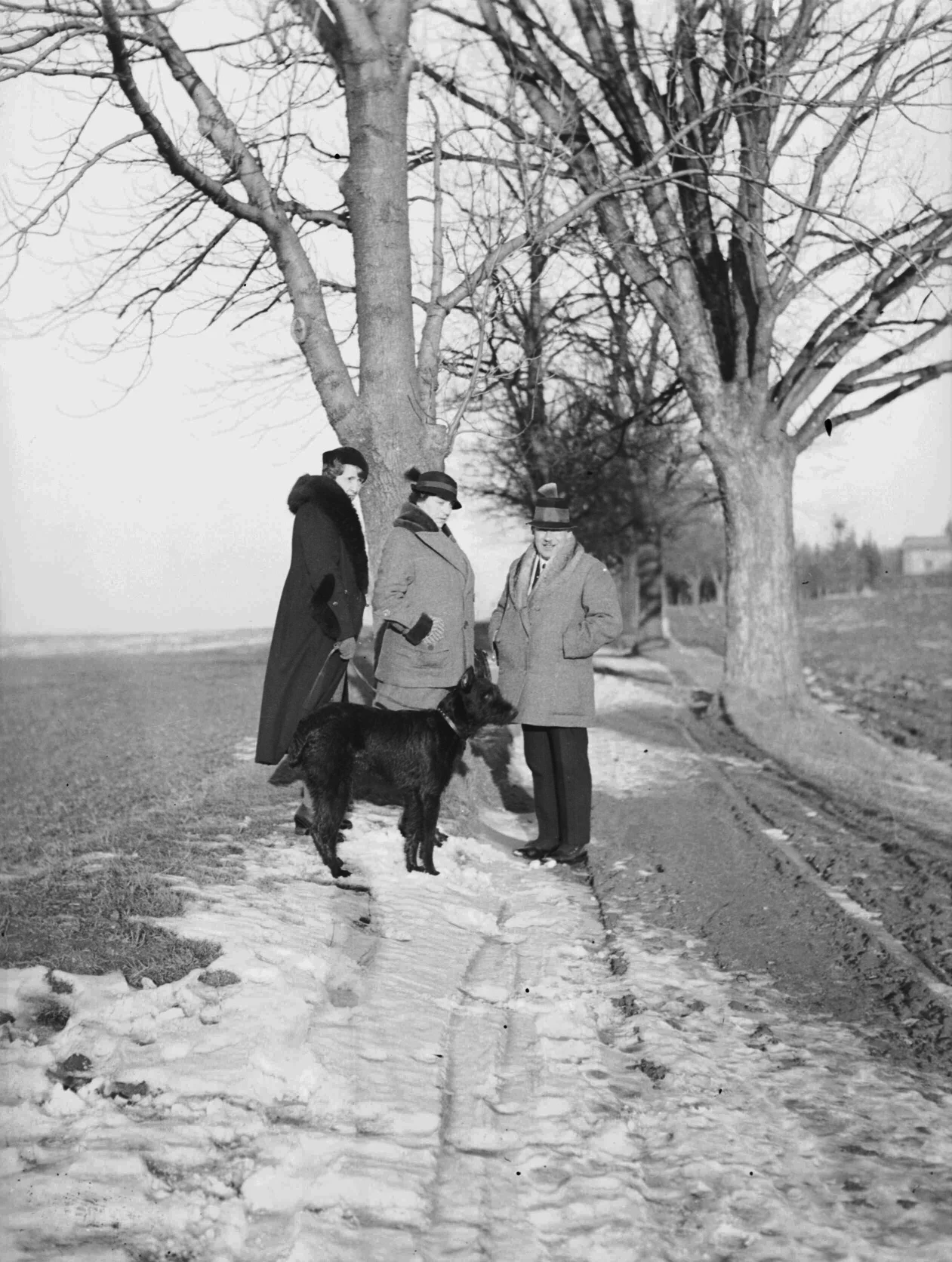 Náhledový obrázek předmětu A. M. Schoss: na polní cestě (čb. fotografie)
