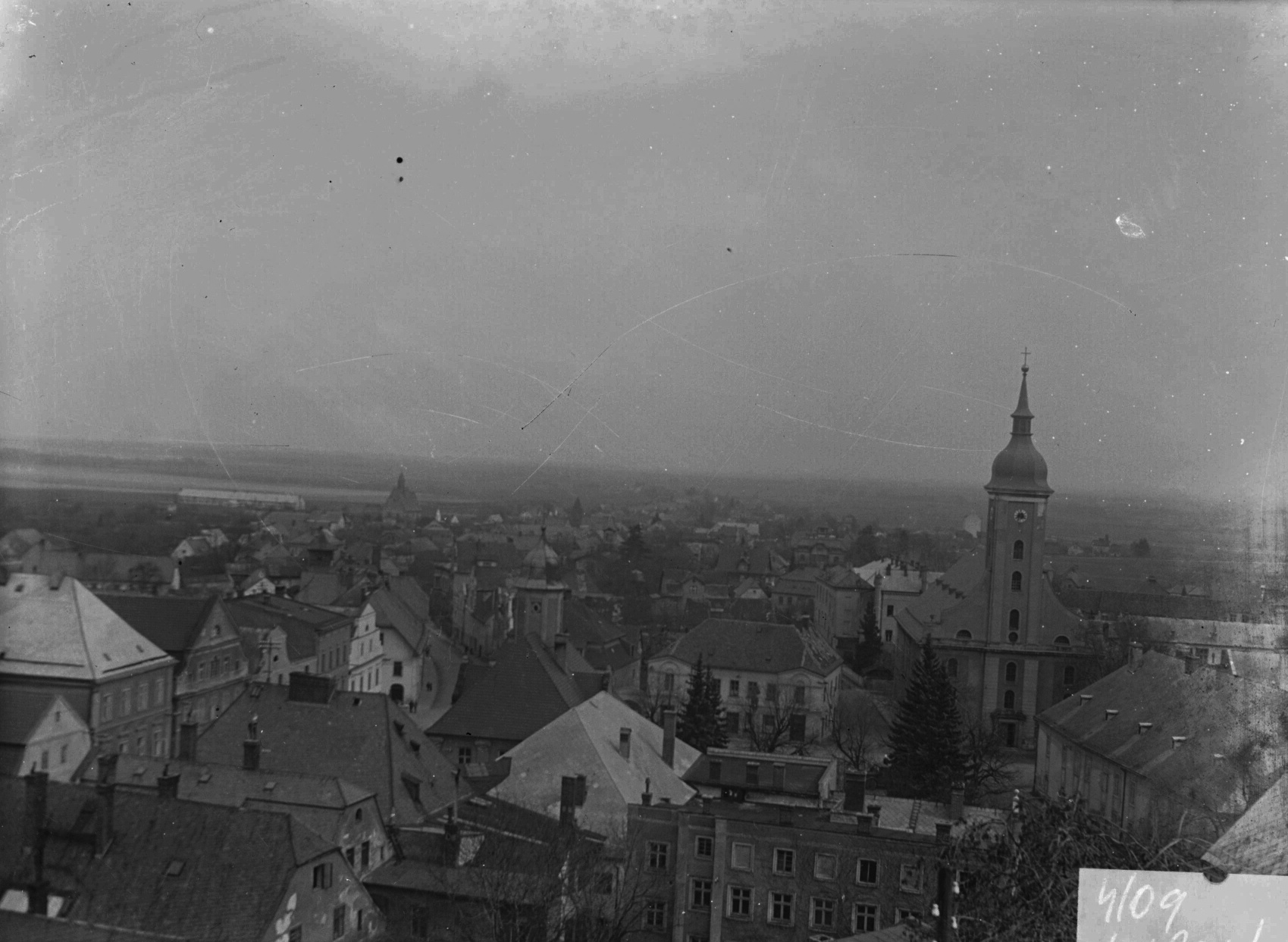Náhledový obrázek Javorník (skleněný negativ) - 1