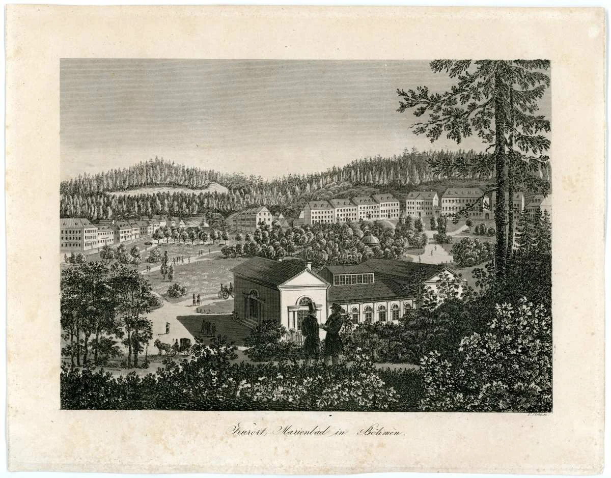Náhledový obrázek předmětu Veduta Mariánské Lázně