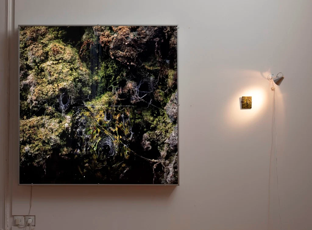 Náhledový obrázek předmětu Soutterův tanečník (diptych)