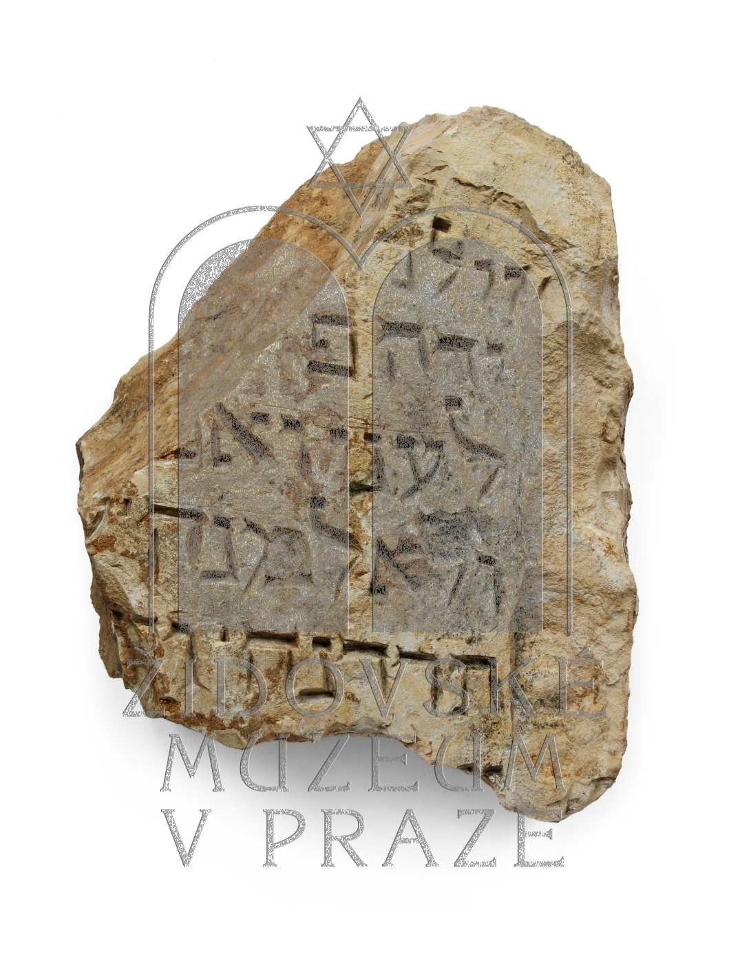 Náhledový obrázek Fragment náhrobku - 1