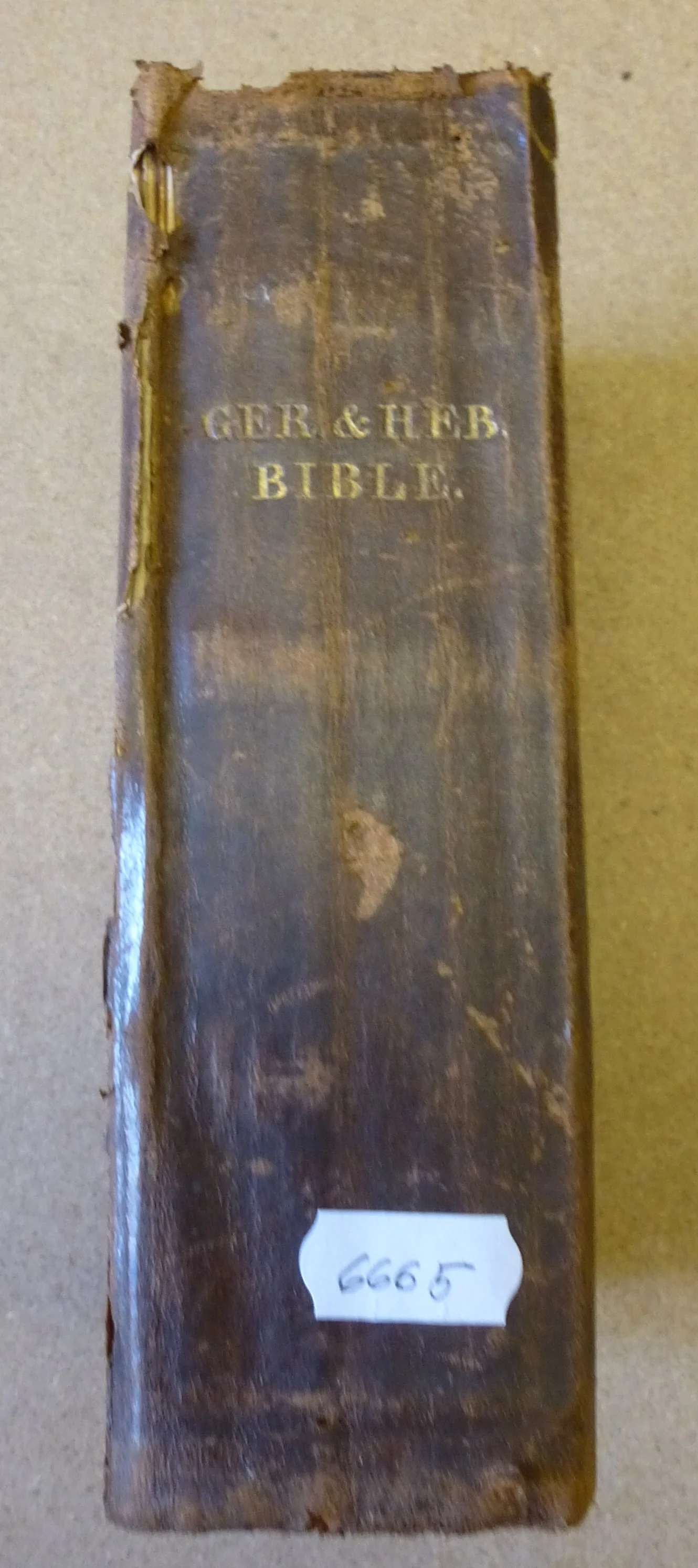 Náhledový obrázek předmětu Bible