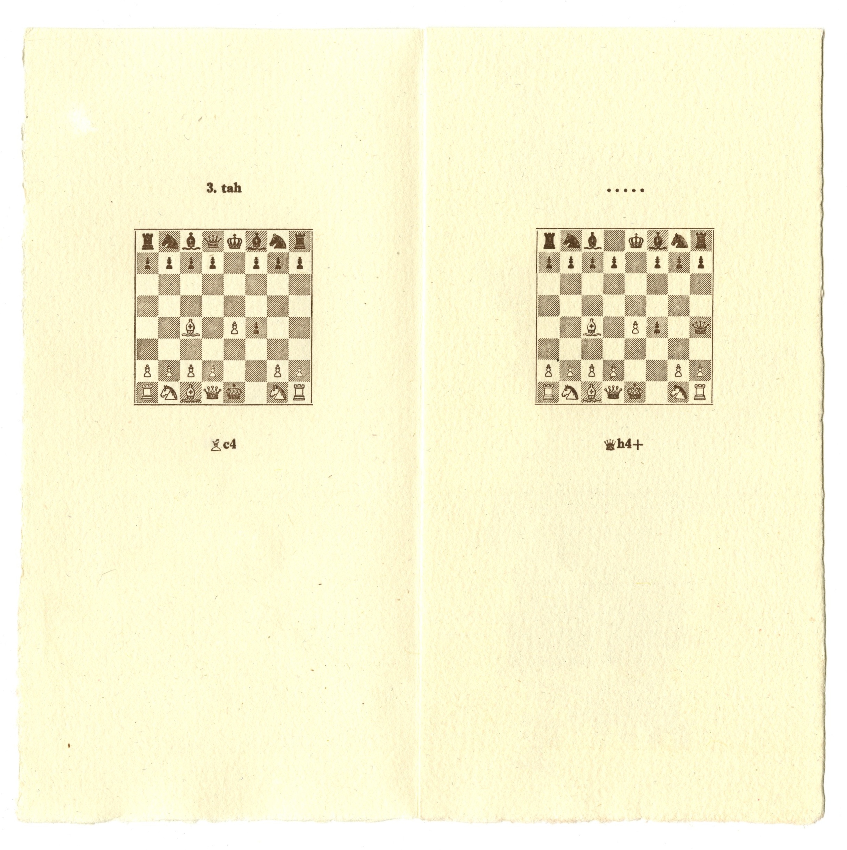 Náhledový obrázek Bibliofilie - 1