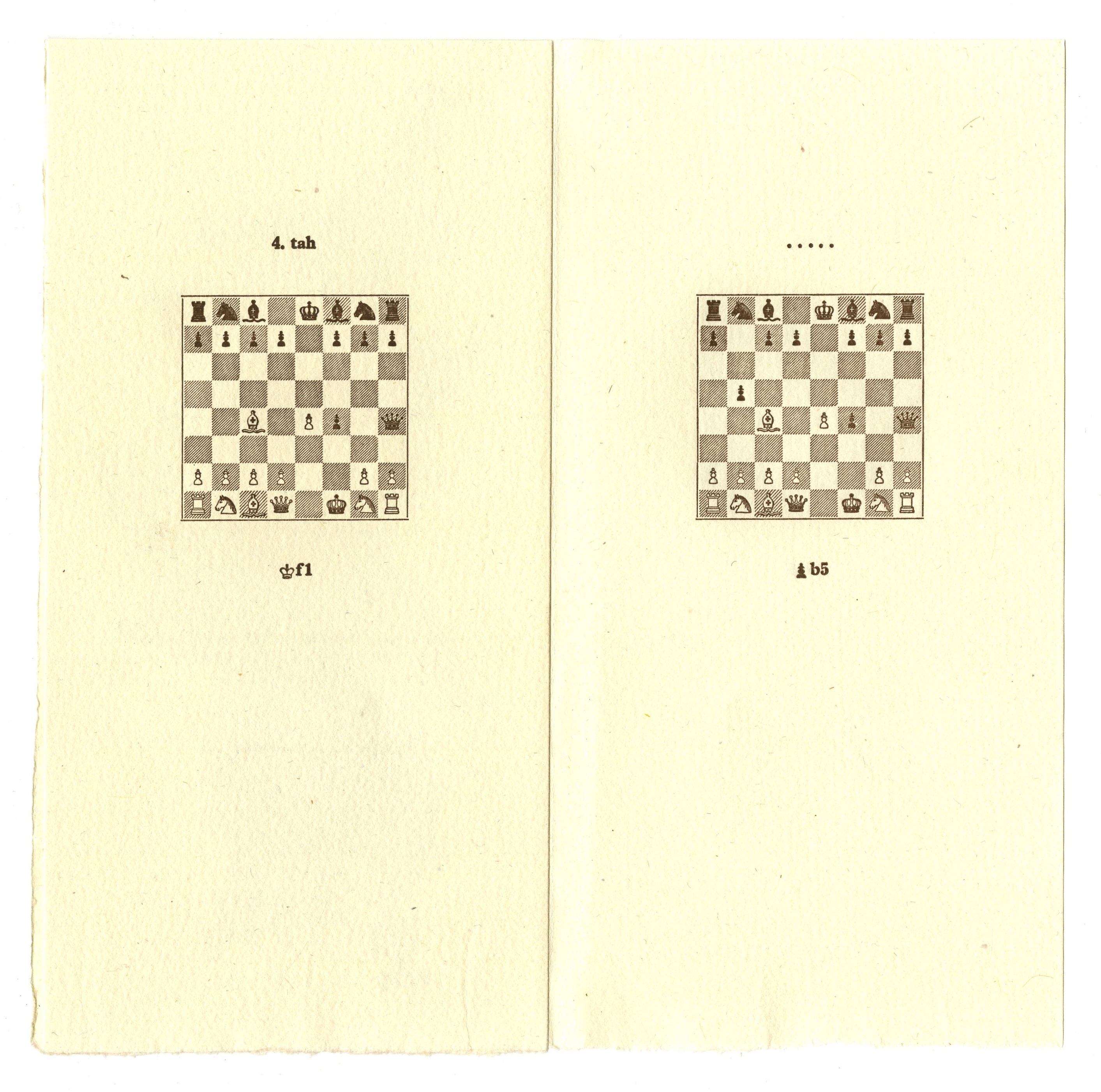 Náhledový obrázek Bibliofilie - 1