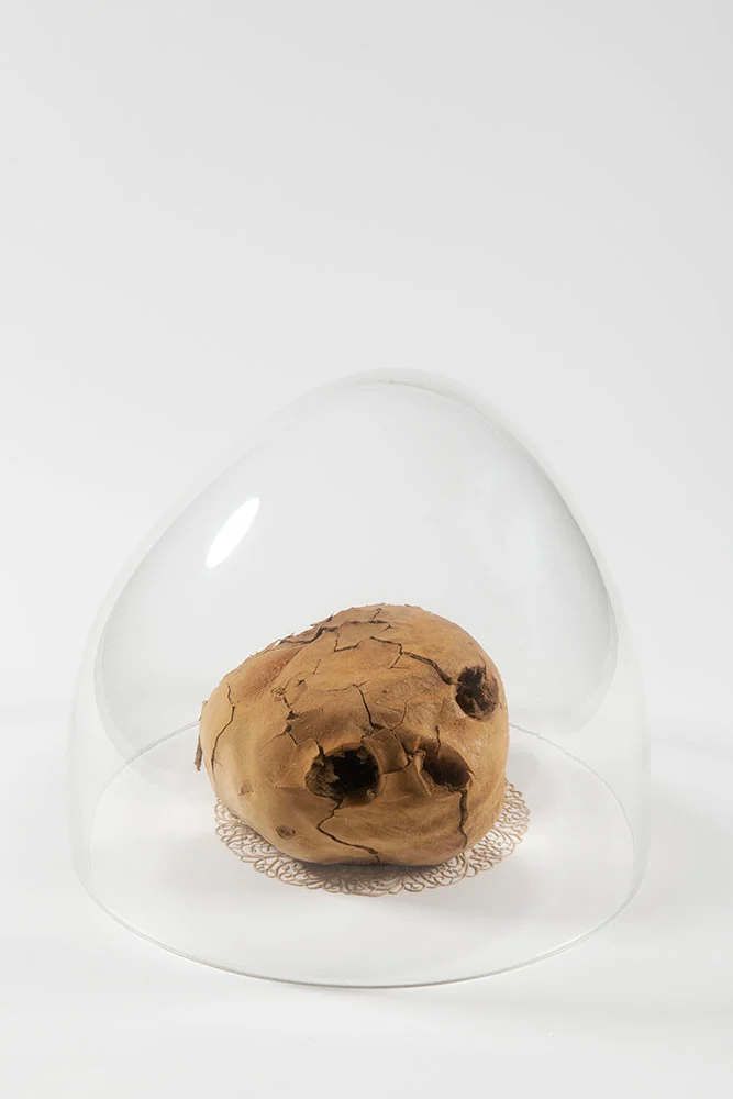 Náhledový obrázek předmětu Lebka I. (Božské substance)