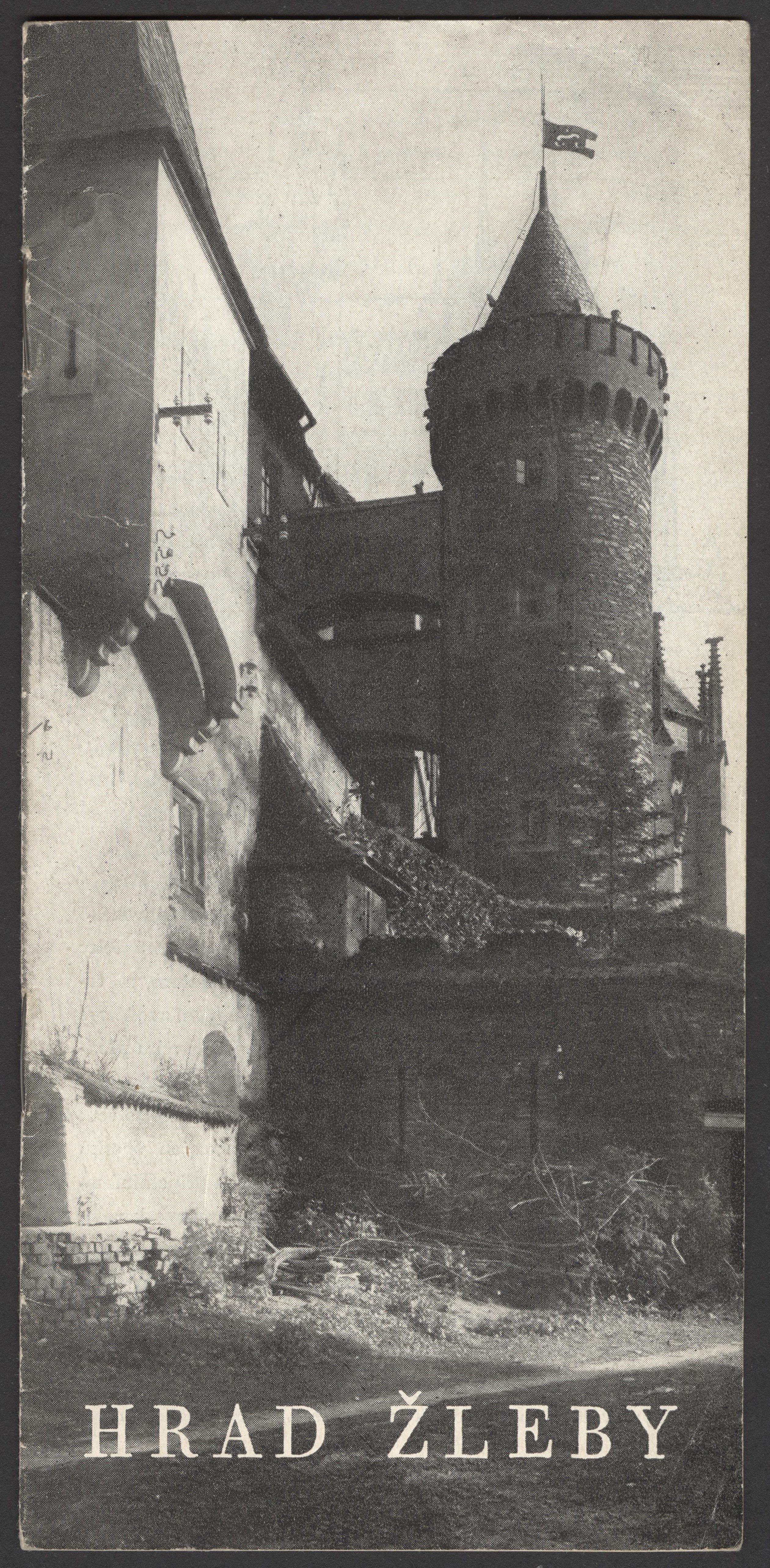Náhledový obrázek Hrad Žleby - 2