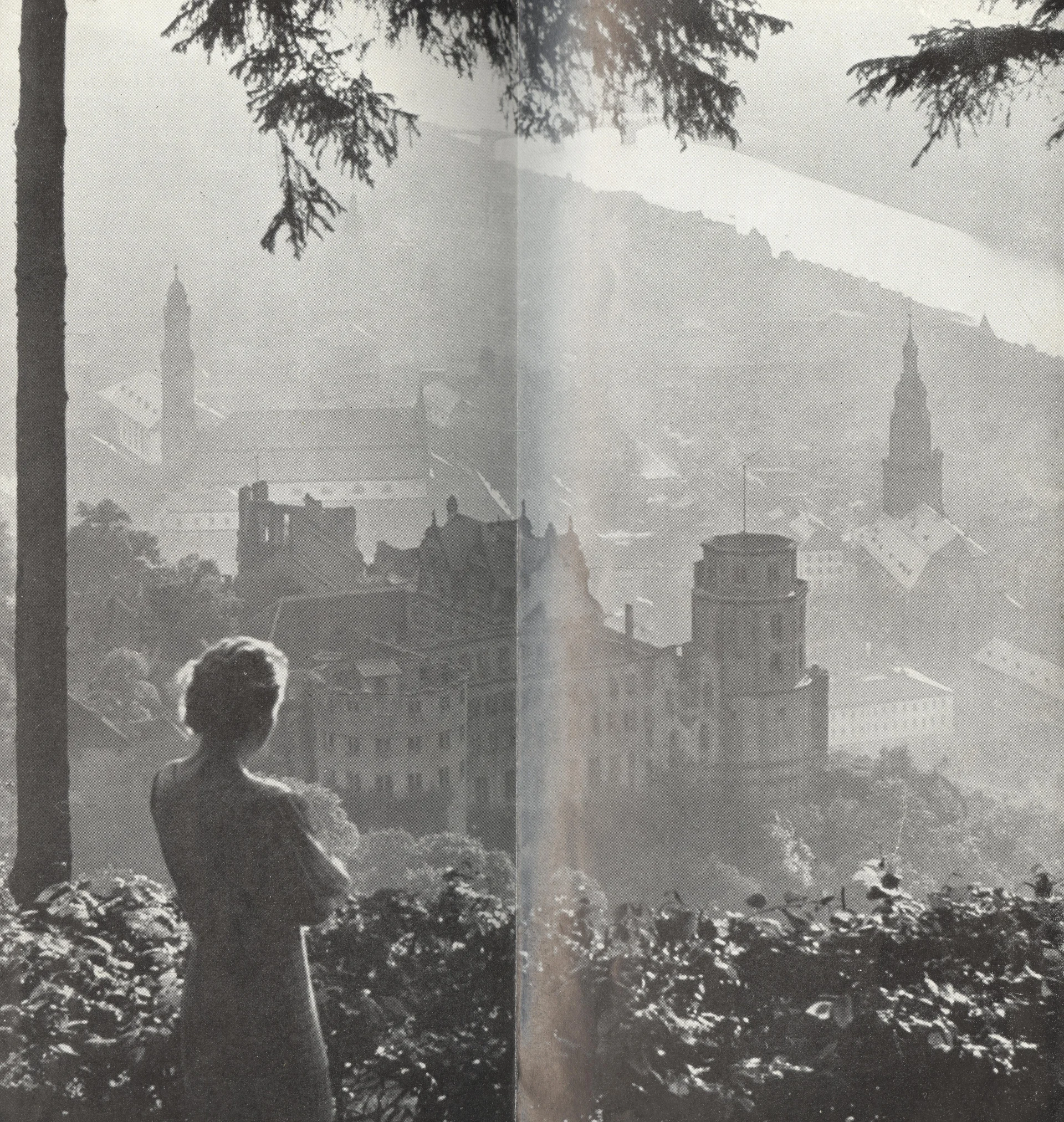 Náhledový obrázek předmětu Heidelberg