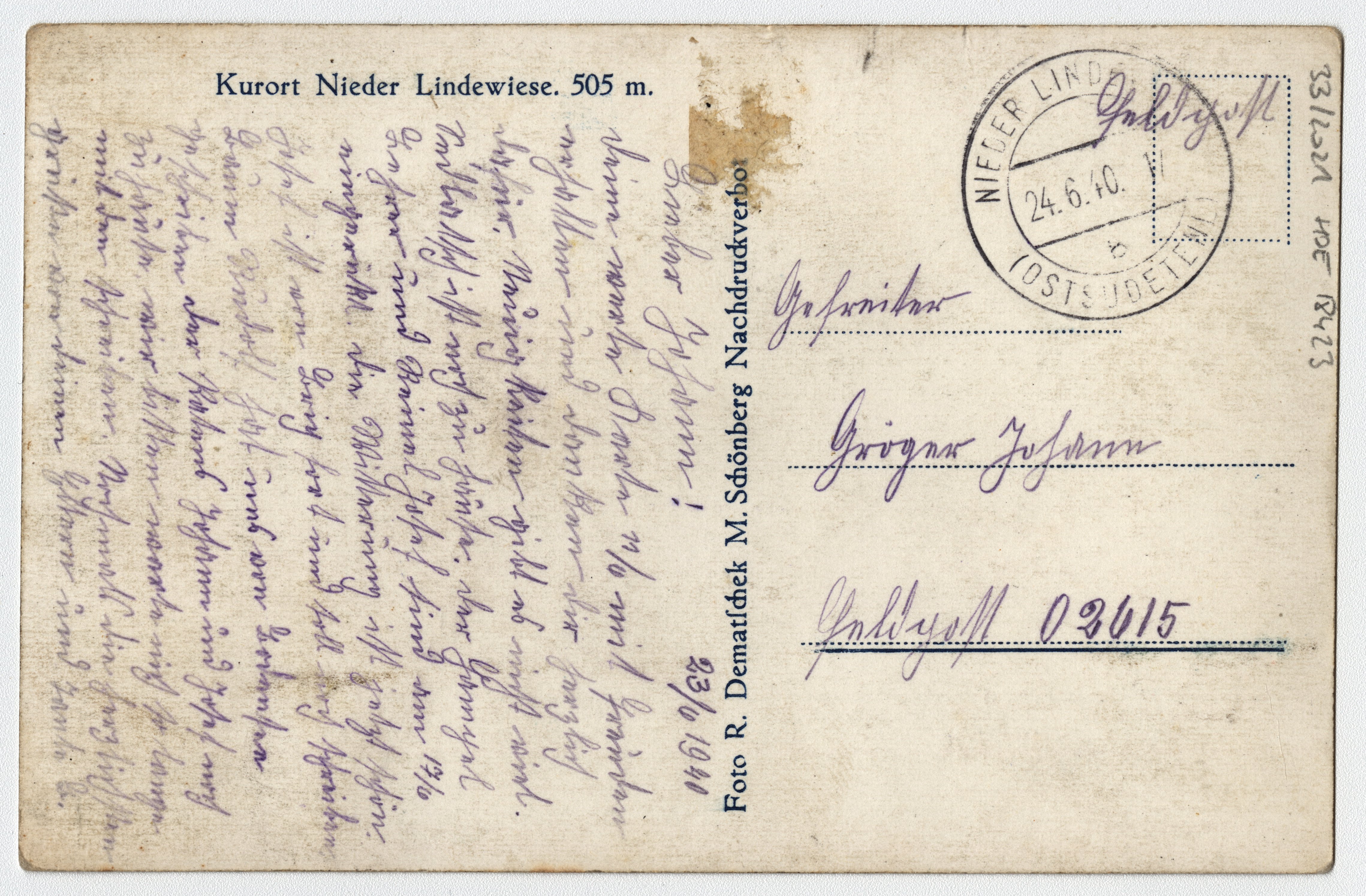 Náhledový obrázek Villa Grohmann a Villa Theresa v lázních Dolní Lipová z dálky (čb. pohlednice) - 2