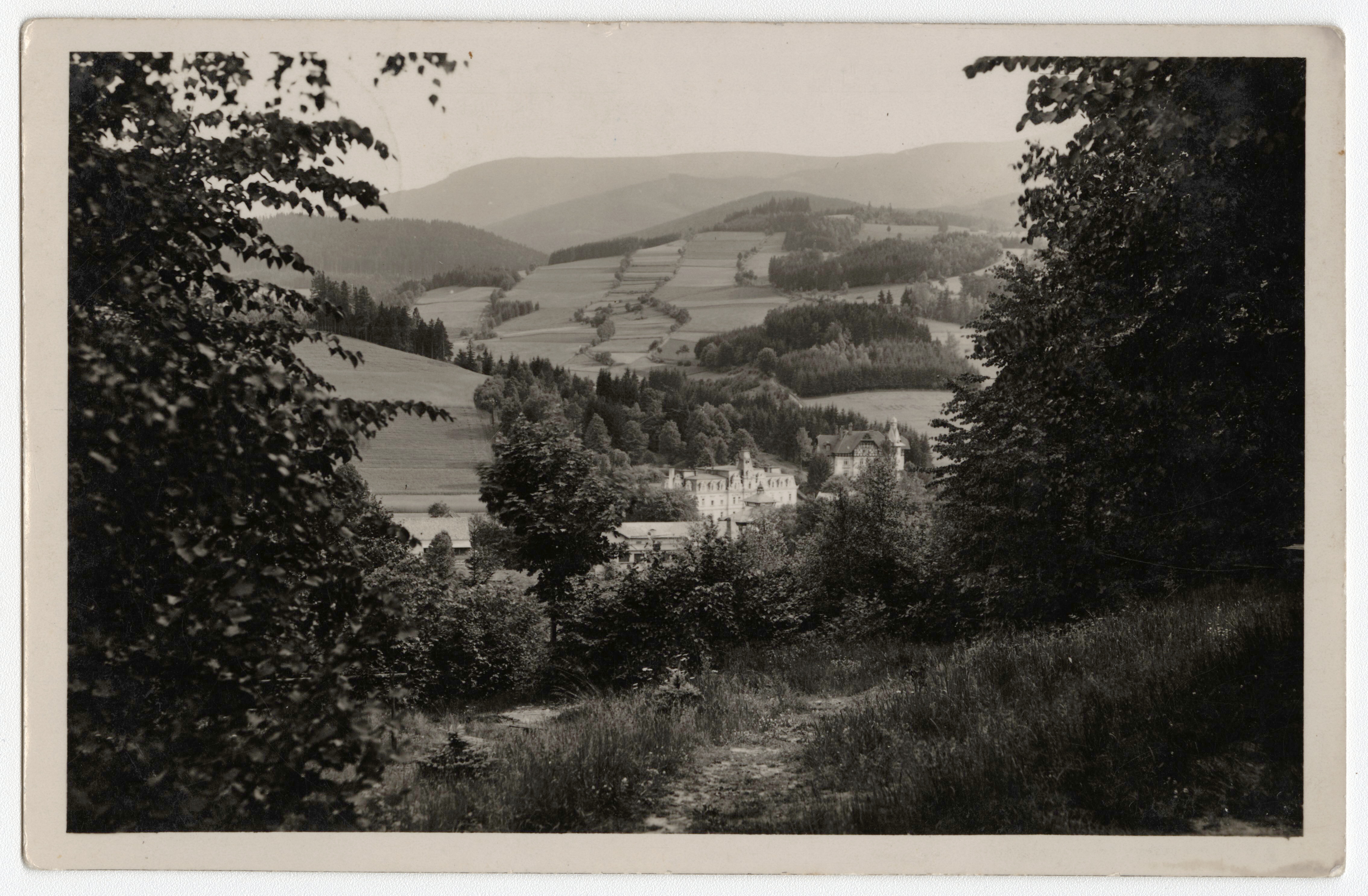 Náhledový obrázek Villa Grohmann a Villa Theresa v lázních Dolní Lipová z dálky (čb. pohlednice) - 1