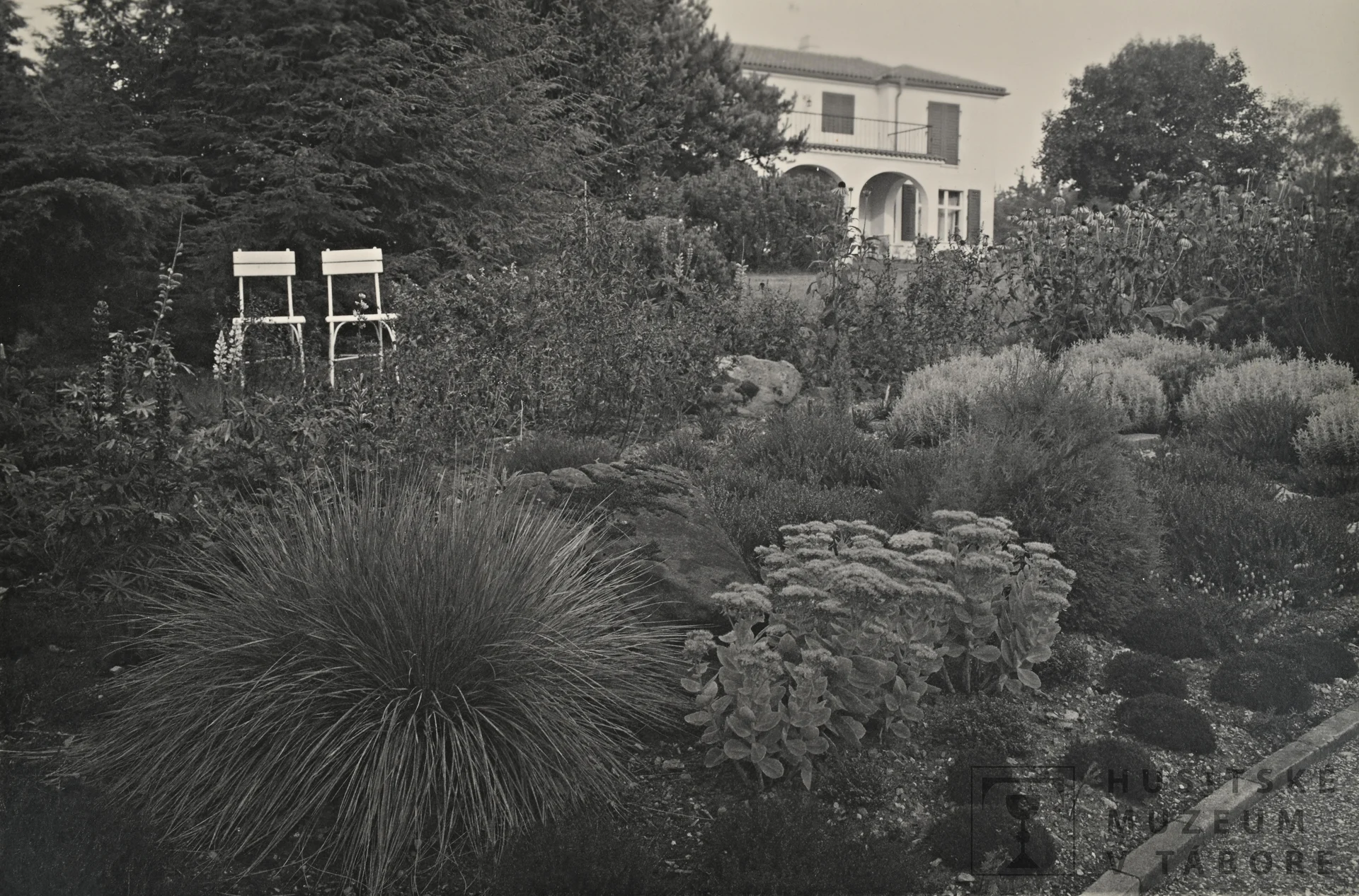 Náhledový obrázek předmětu Fotografie