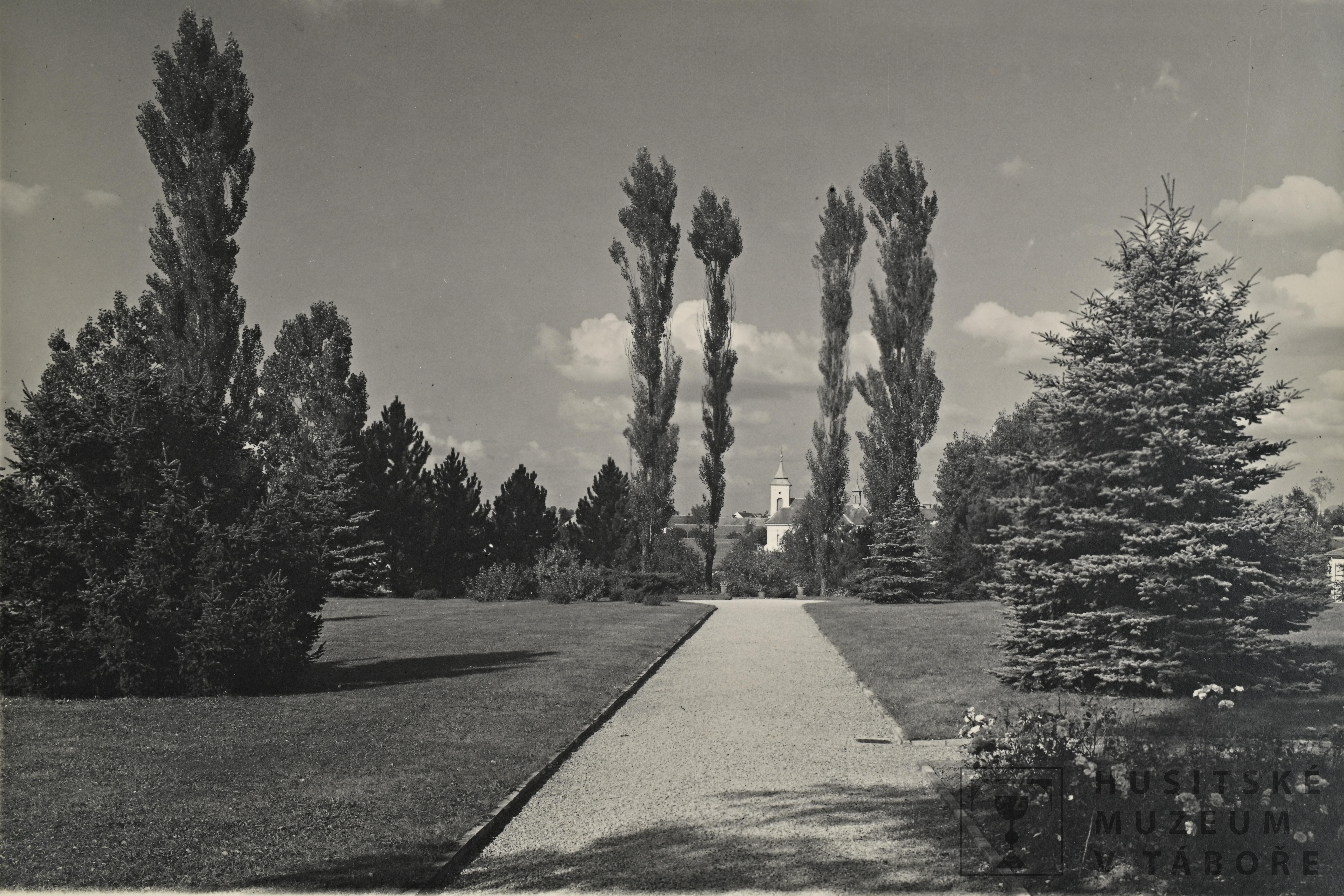 Náhledový obrázek Fotografie - 3