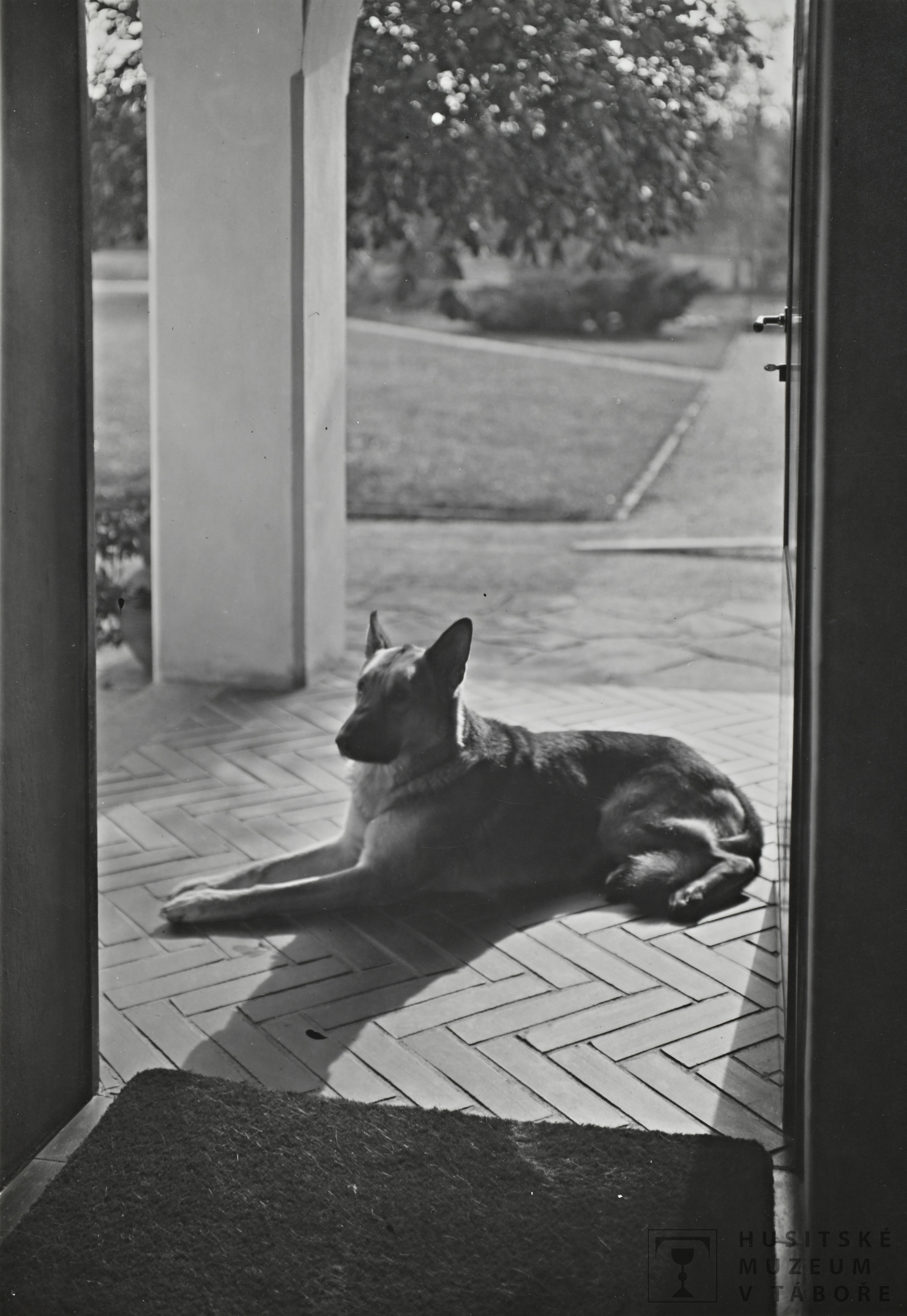 Náhledový obrázek Fotografie - 1