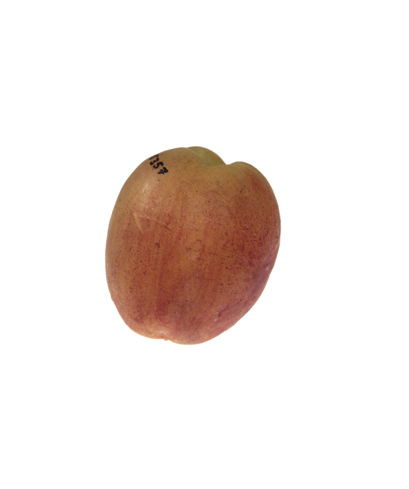 Náhledový obrázek Broskev Rubešova raná - 1
