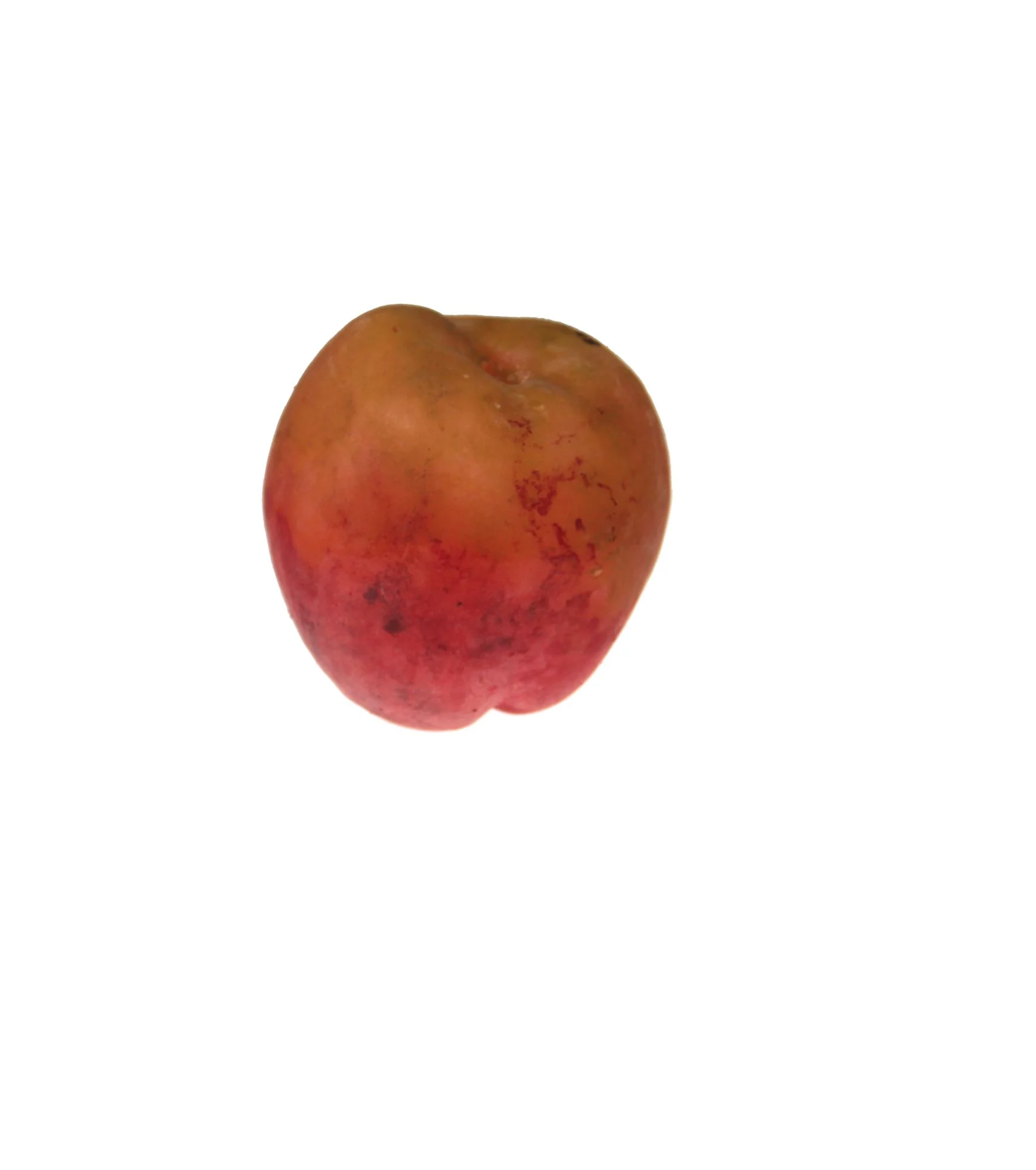 Náhledový obrázek předmětu Broskev Red Haven