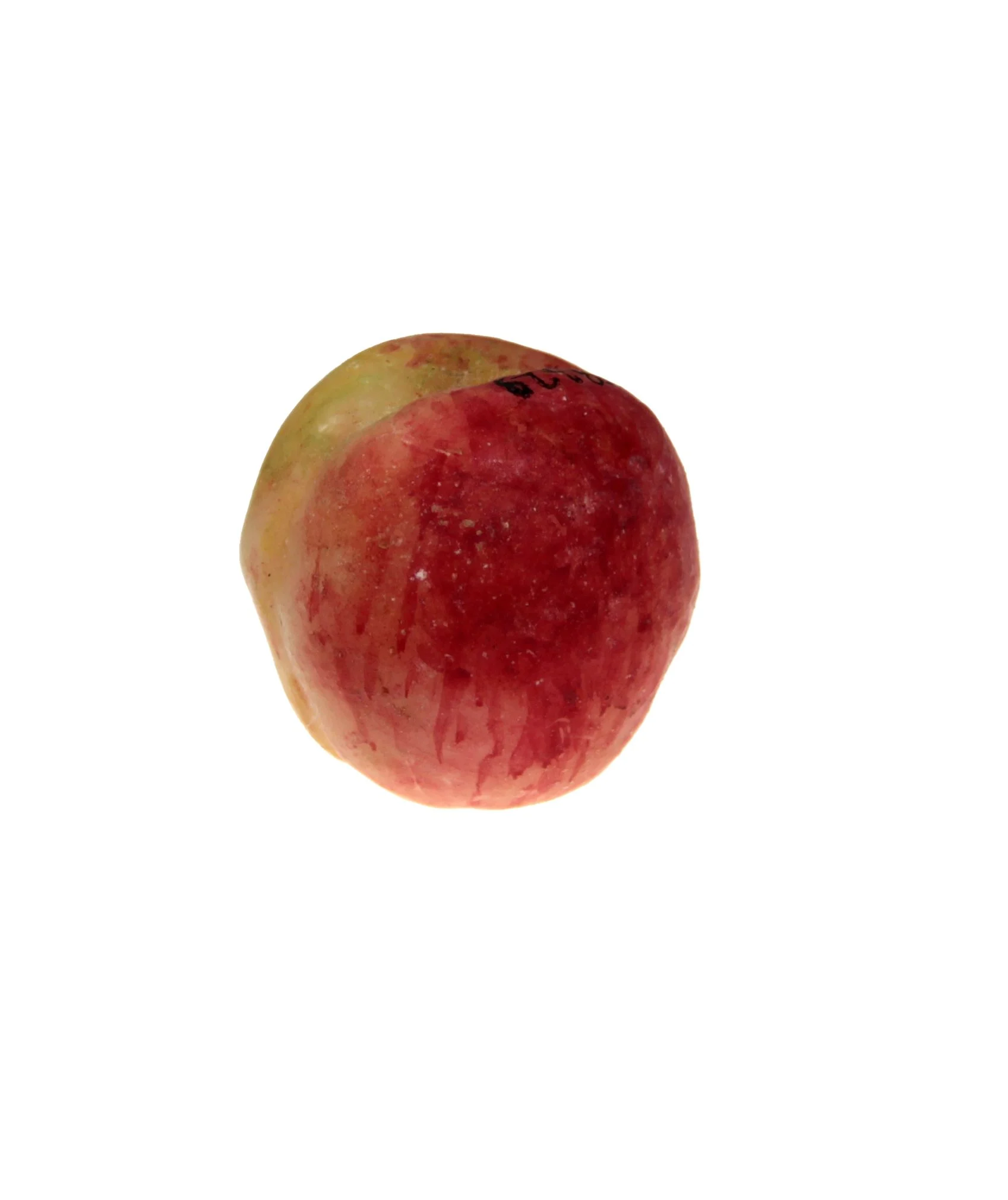 Náhledový obrázek předmětu Broskev Luna