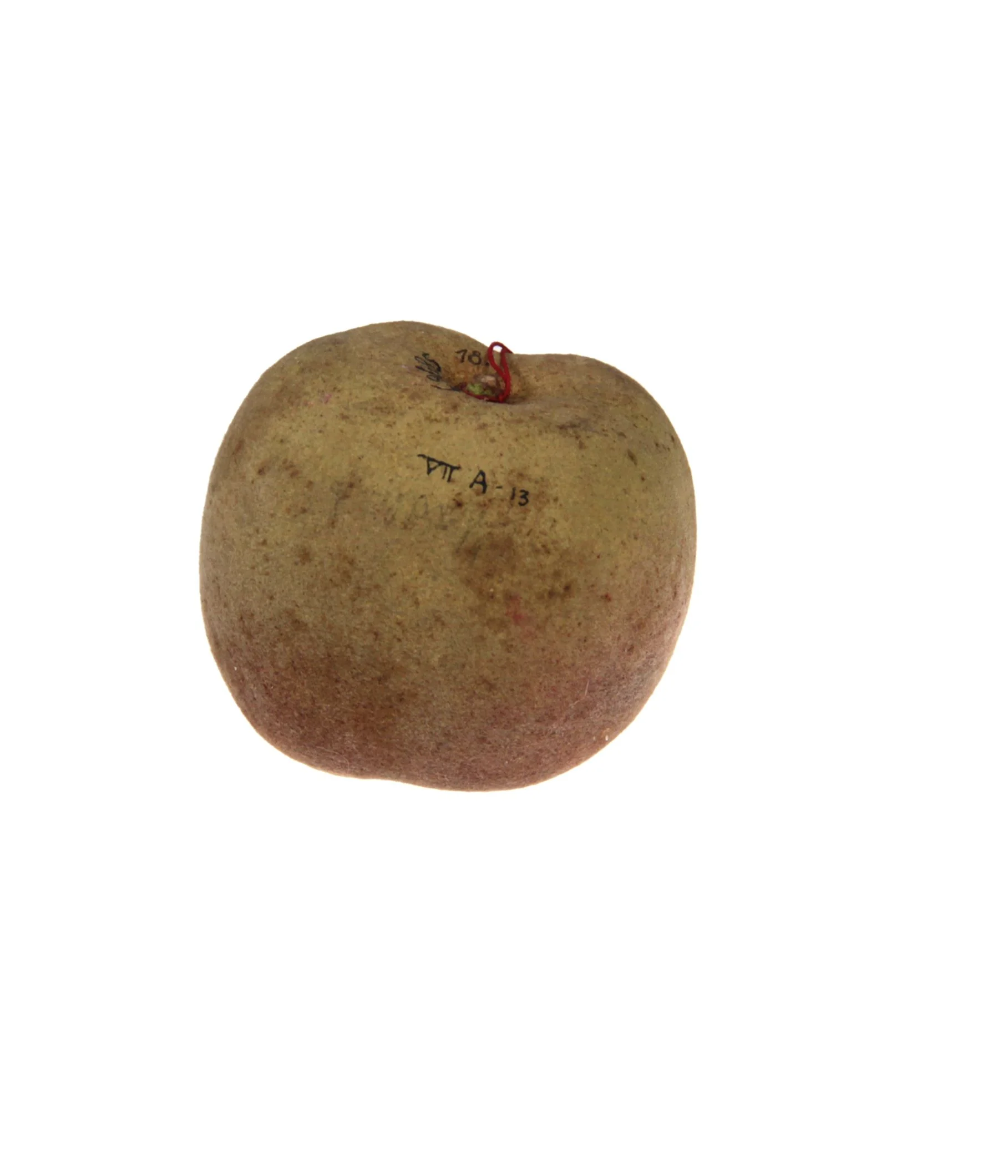 Náhledový obrázek předmětu Broskev Frühe purpur
