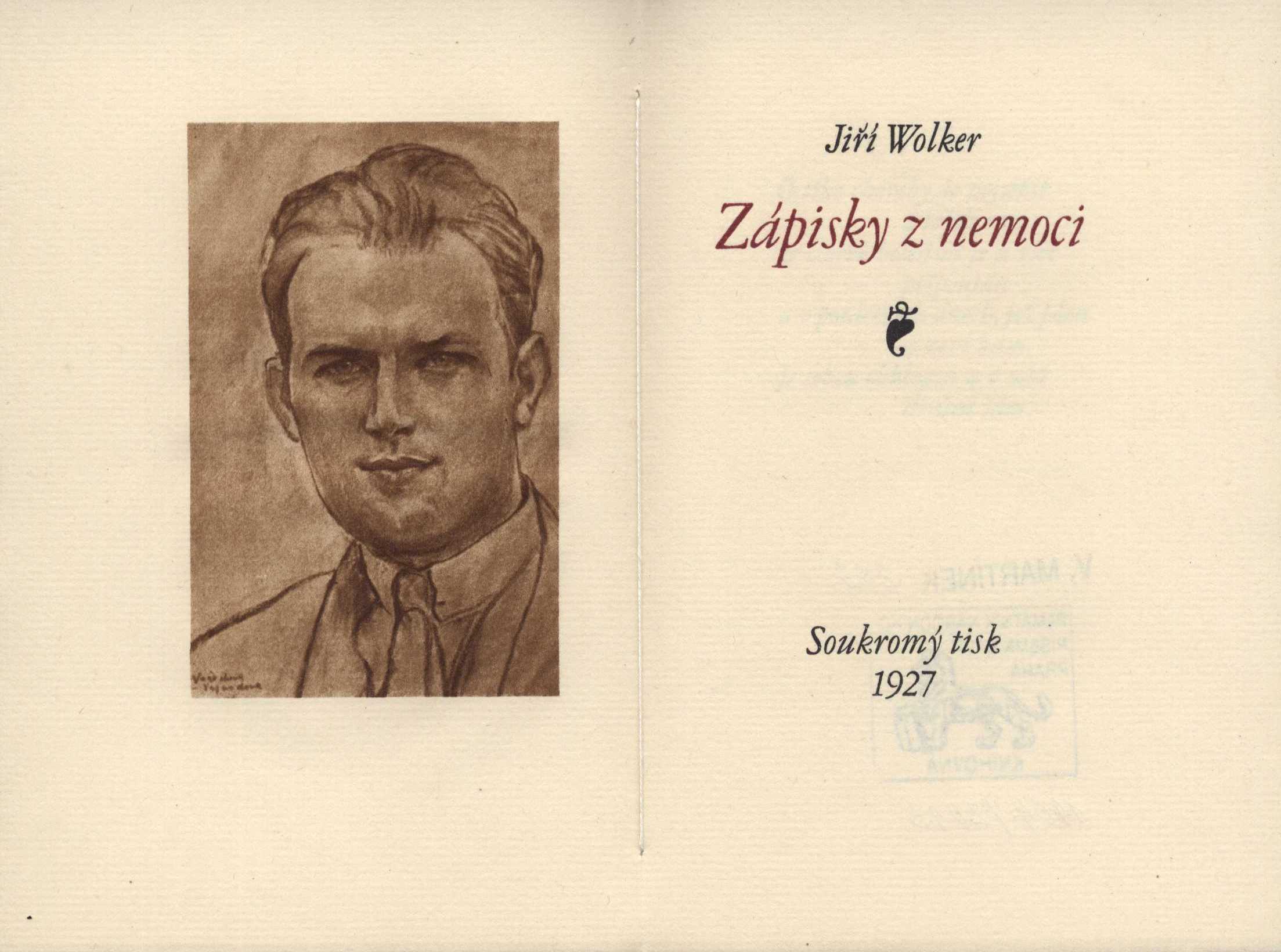 Náhledový obrázek Zápisky z nemoci - 2