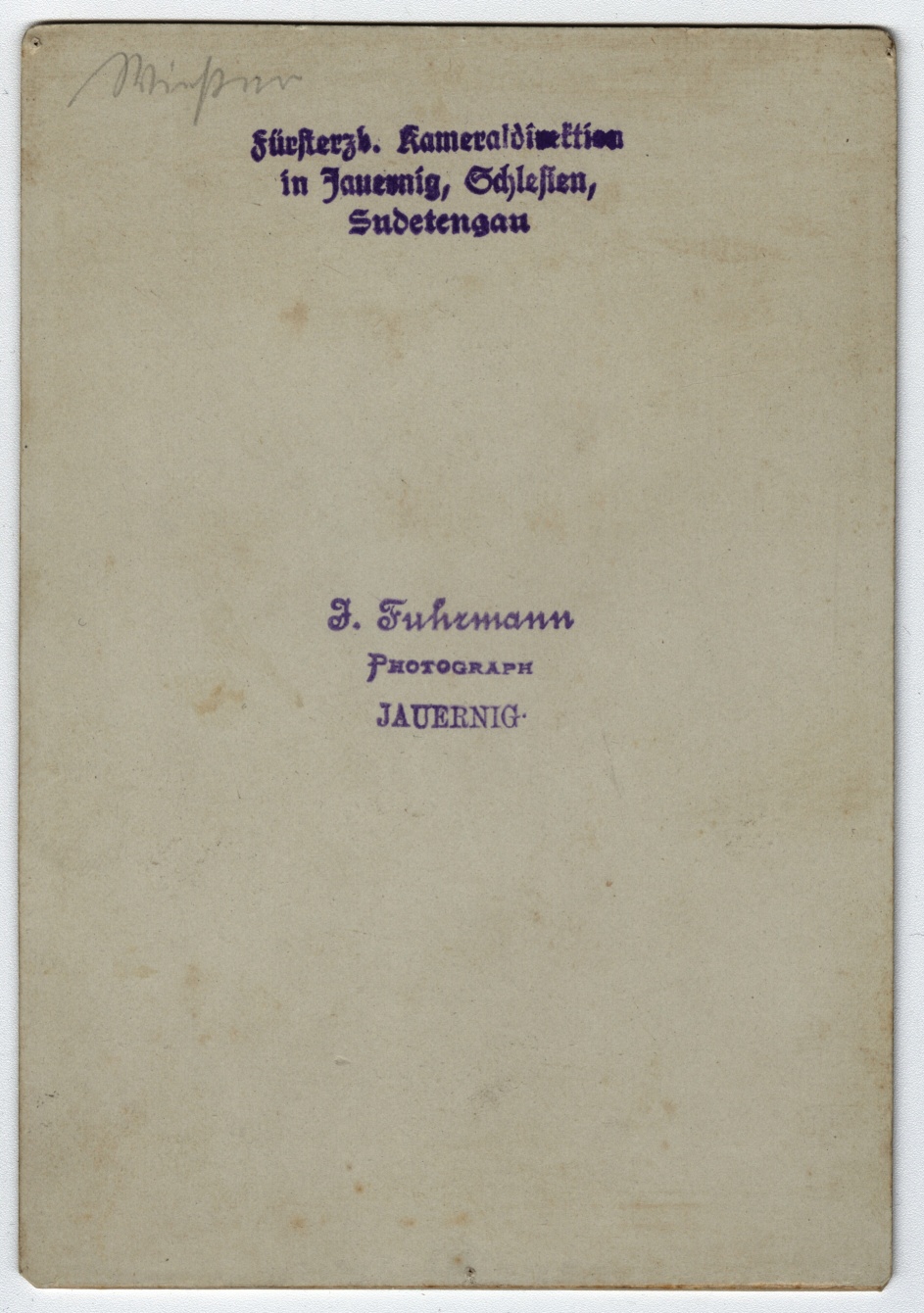 Náhledový obrázek Početní rada Johann Wiessner (kabinetní portrét) - 2