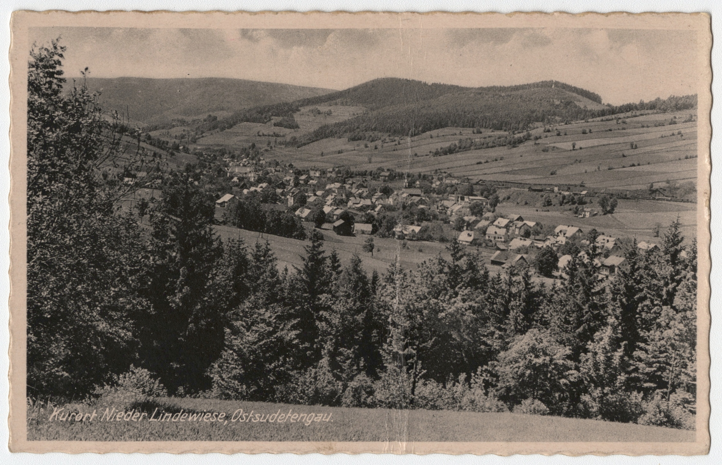 Náhledový obrázek Část obce Dolní Lipová (čb. pohlednice) - 1