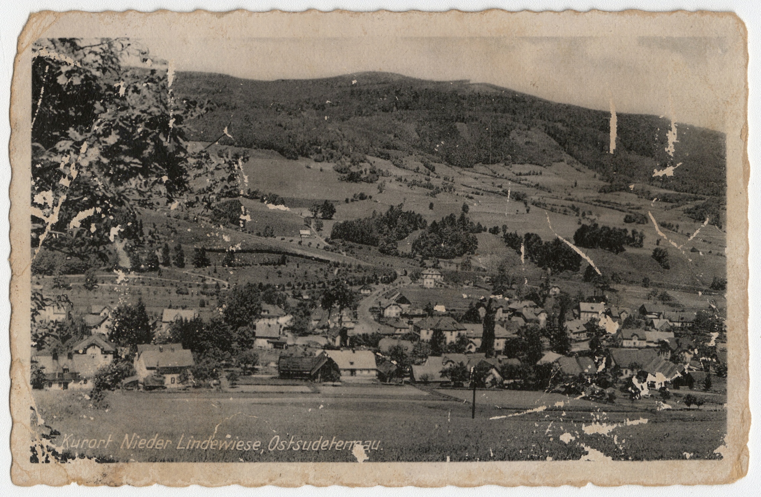 Náhledový obrázek Část obce Dolní Lipová (čb. pohlednice) - 1
