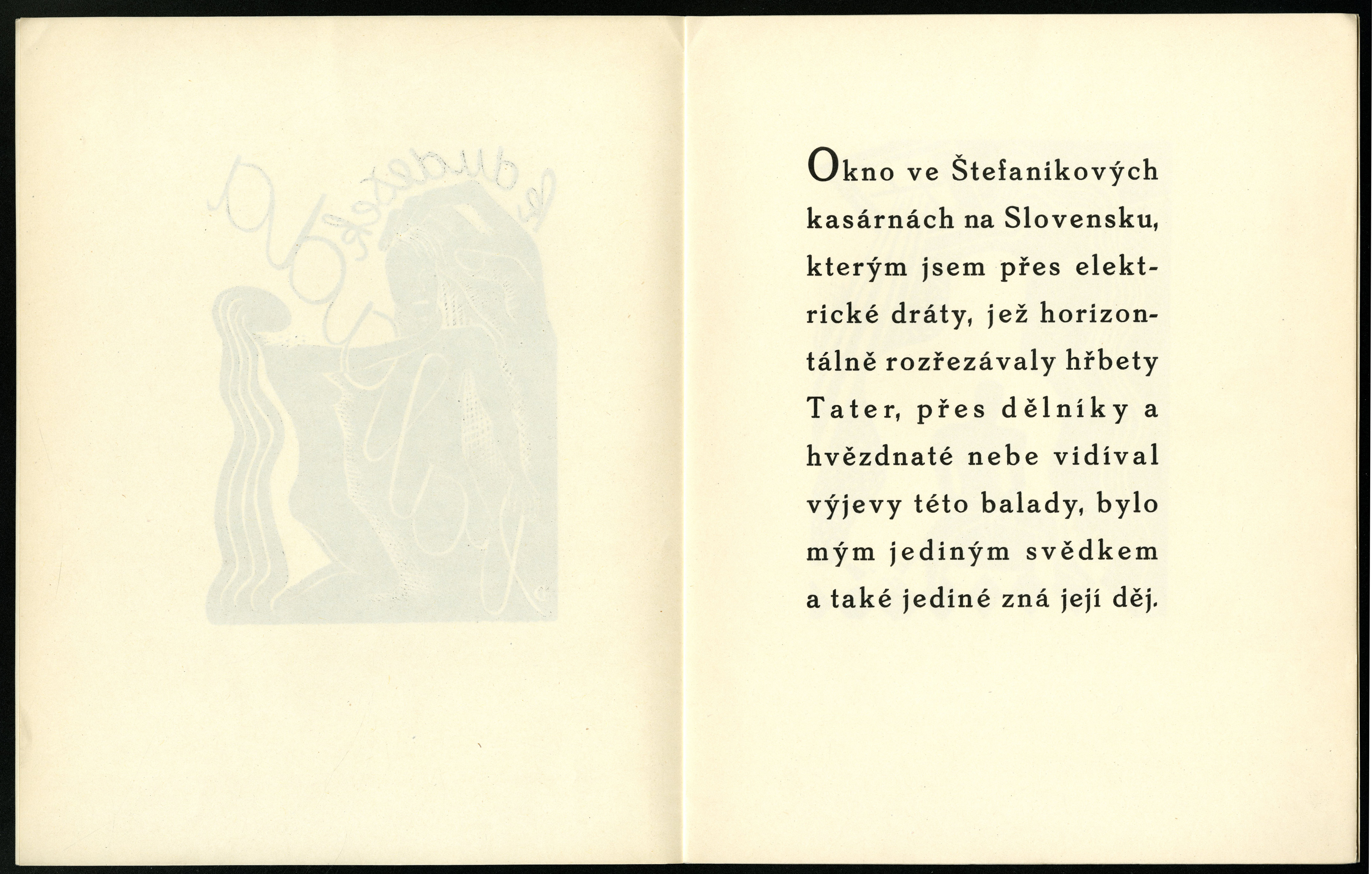 Náhledový obrázek Bibliofilie - příležitosná tiskovina - 4