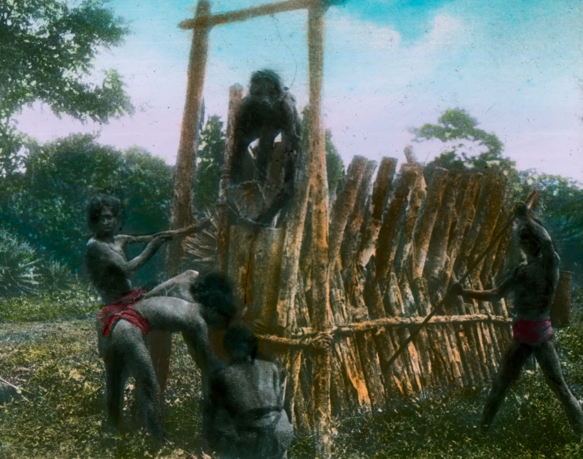 Náhledový obrázek Past, pravděpodobně na tygra - 1