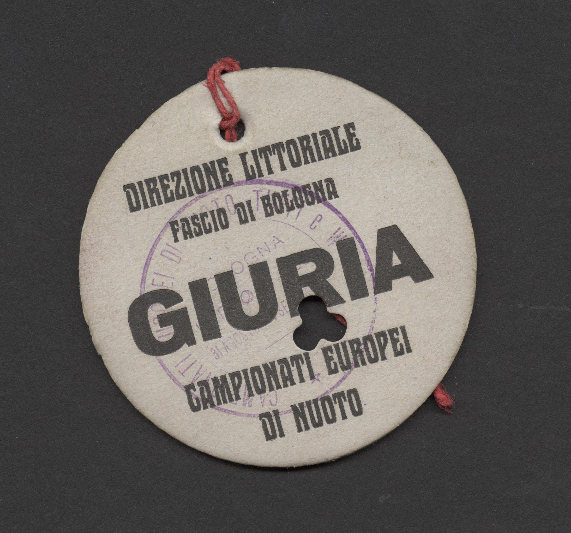 Náhledový obrázek Mistrovství Evropy v plavání. Bologna 1927 - 1