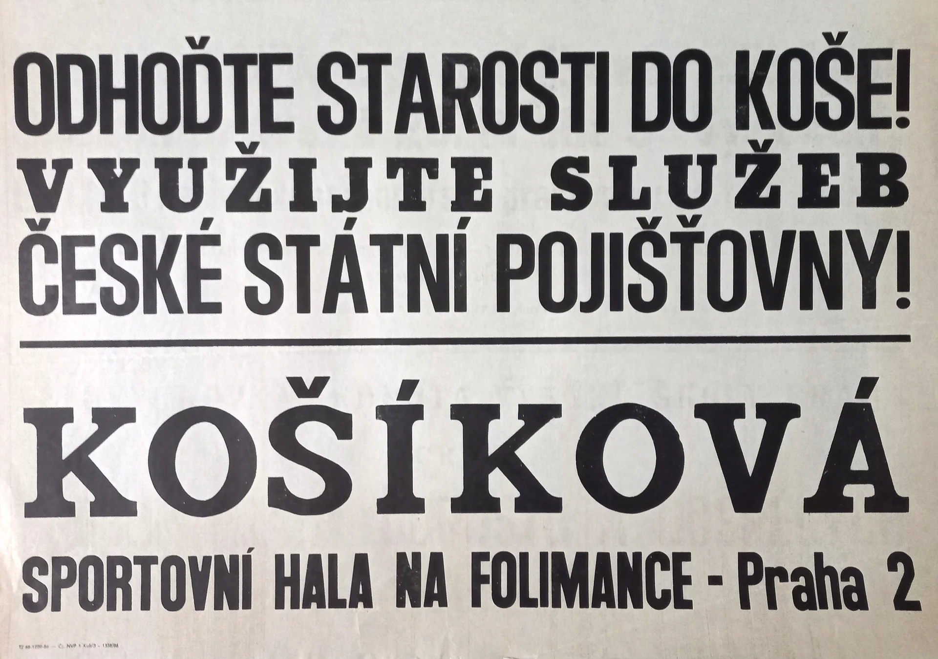 Náhledový obrázek předmětu Košíková. Sportovní hala na Folimance
