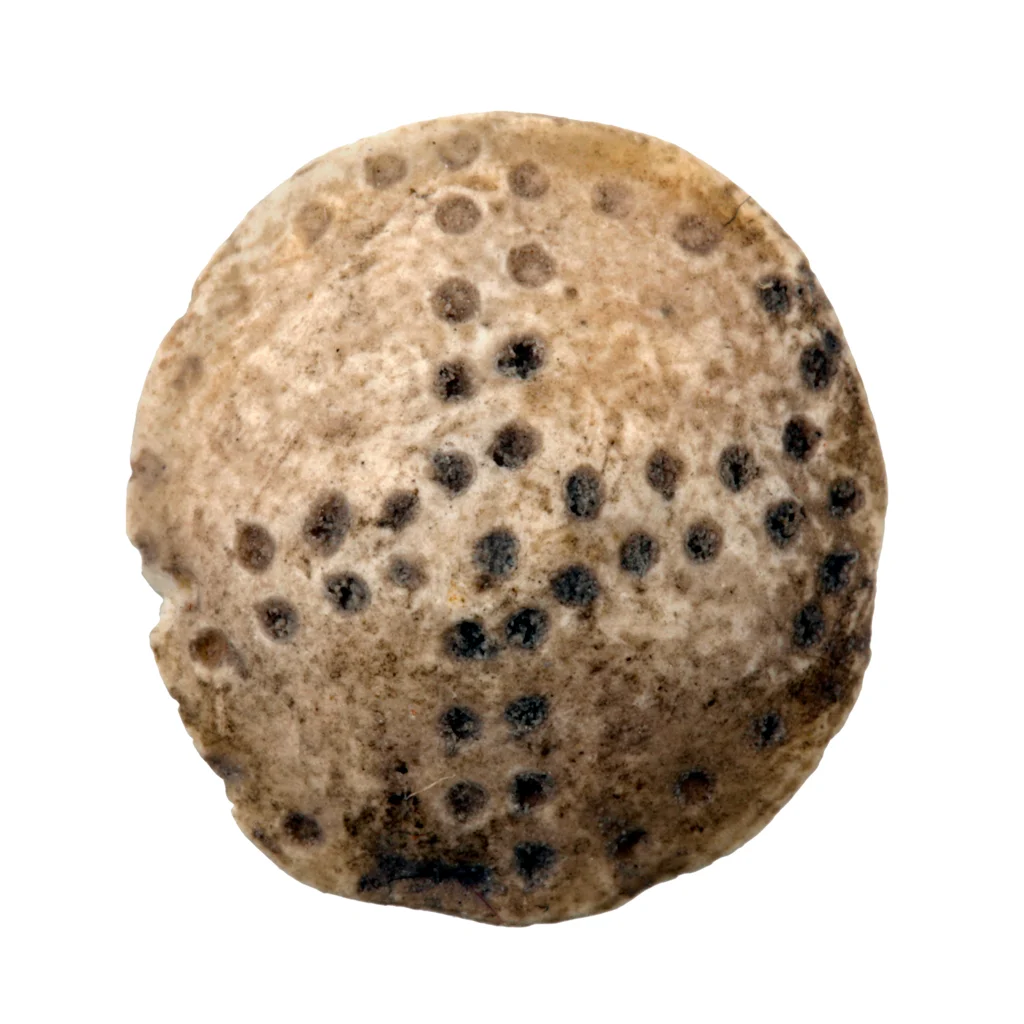 Náhledový obrázek předmětu Knoflík s v vrtáním