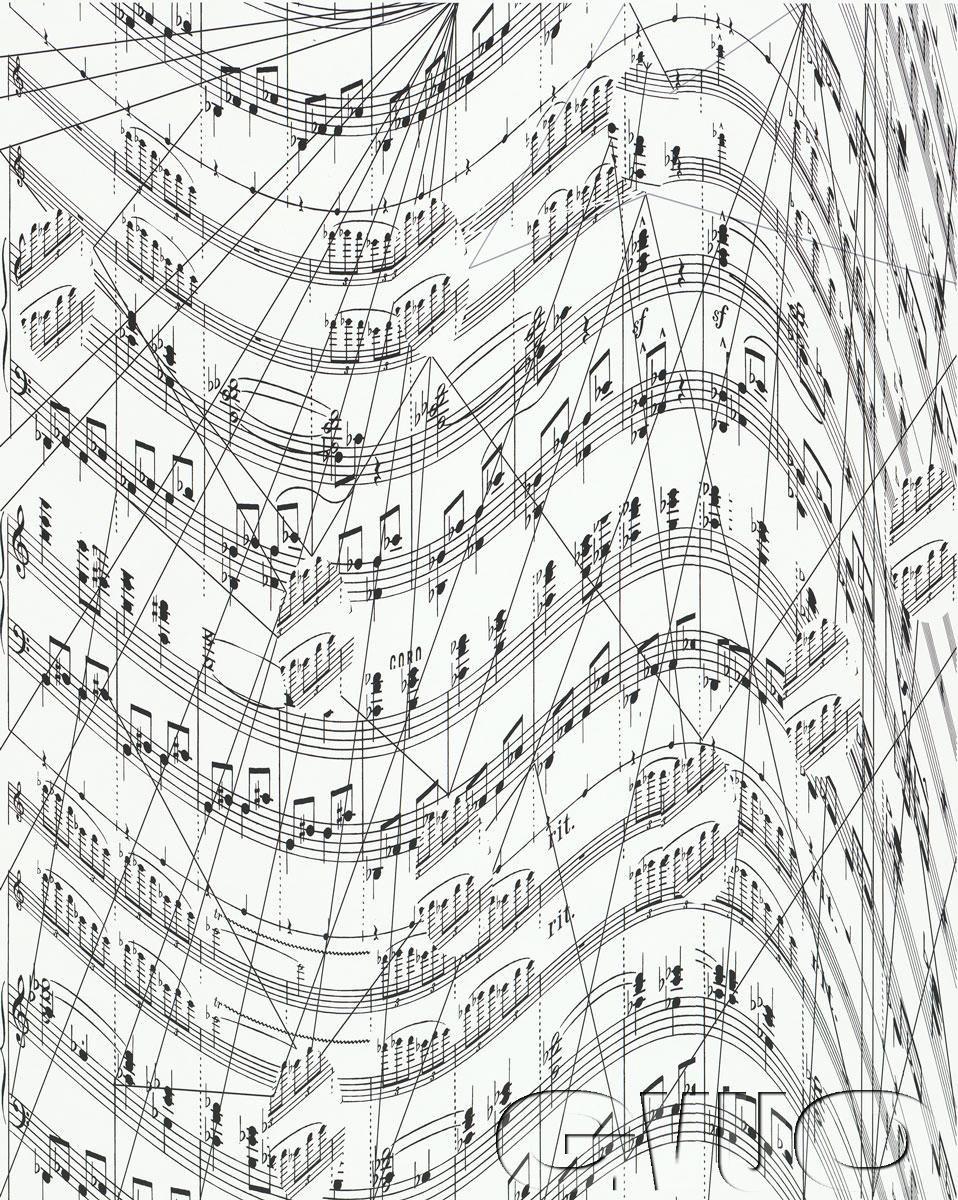 Náhledový obrázek partitura; Interpretace partitury opery VII. Z mrtvého domu - 1