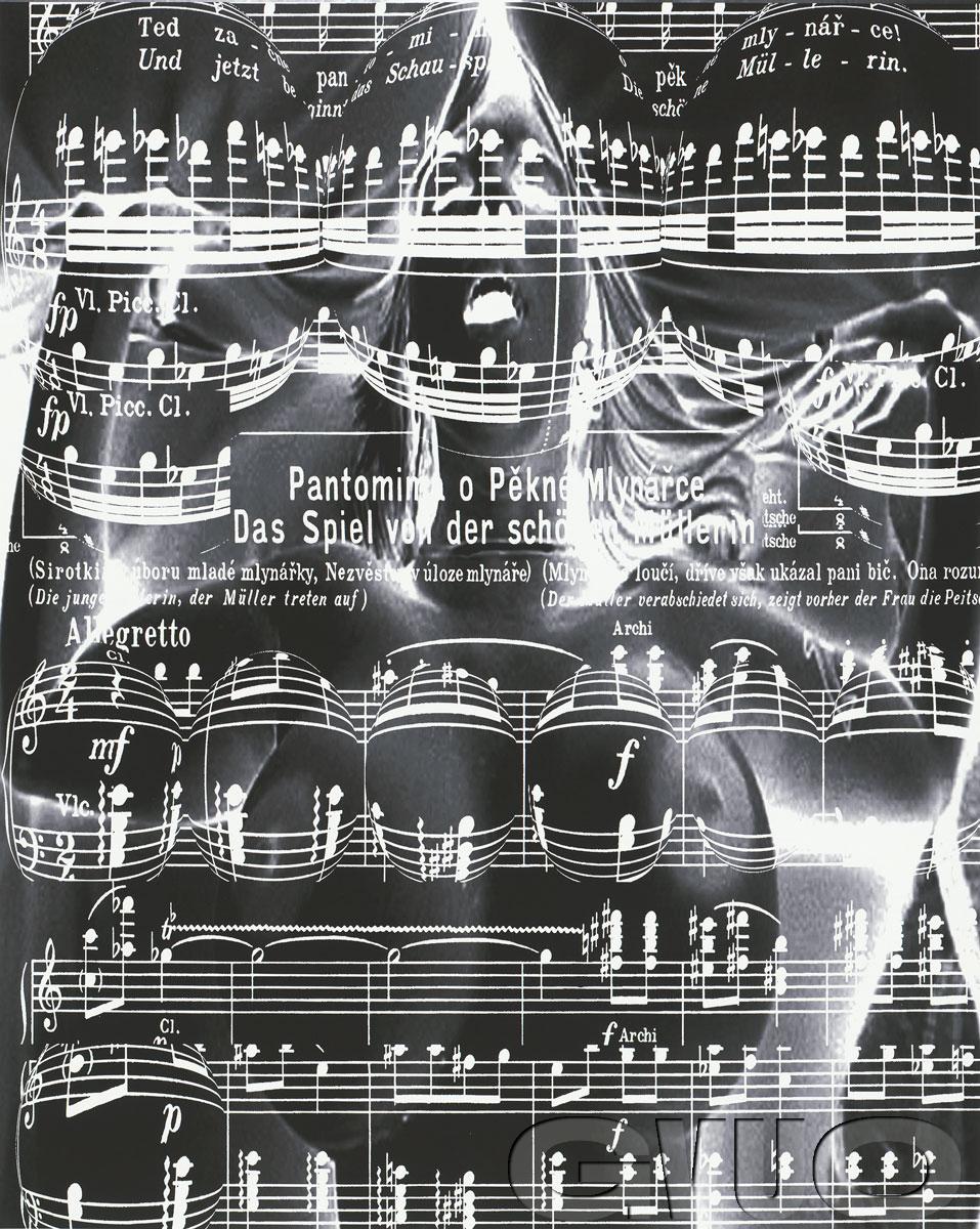 Náhledový obrázek partitura; Interpretace partitury opery X. Z mrtvého domu - 1