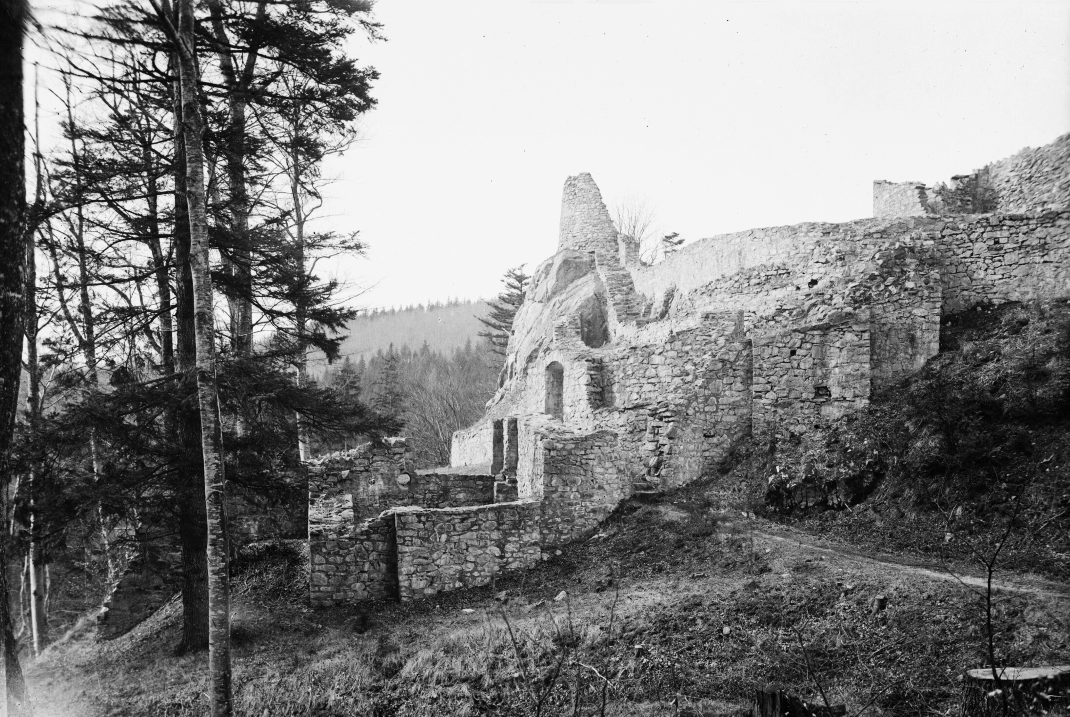 Náhledový obrázek Zřícenina hradu Rychleby (skleněný negativ) - 1