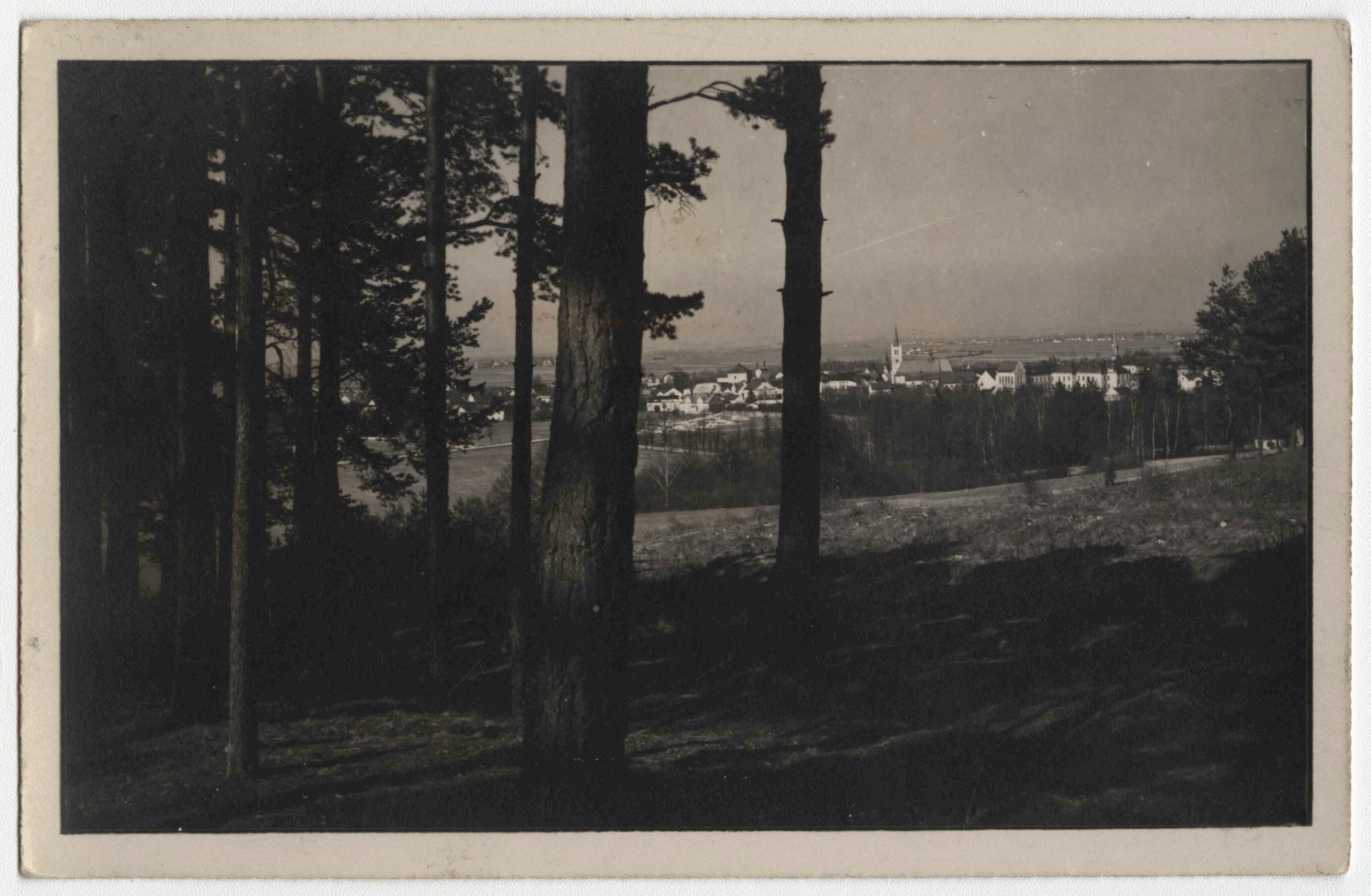 Náhledový obrázek Vidnava (čb. pohlednice) - 1