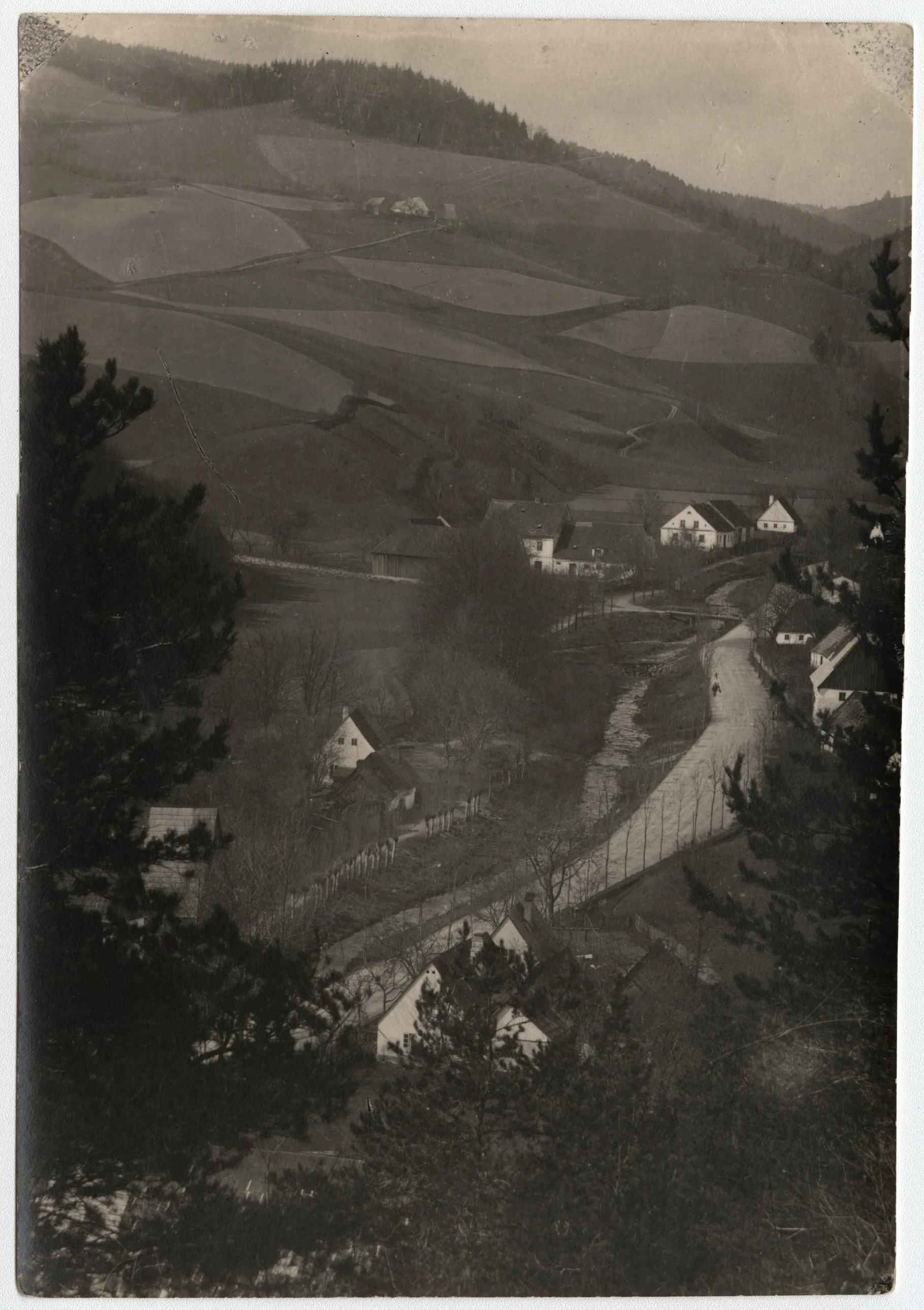 Náhledový obrázek předmětu Vesnická stavení v Javorníku-Podměstí (čb. fotografie)