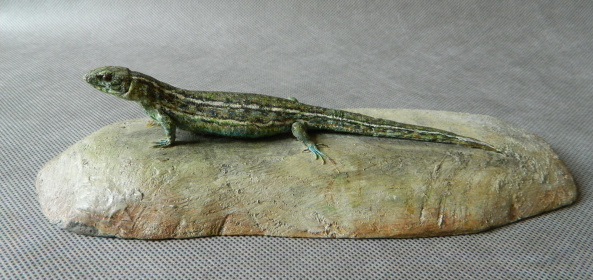 Náhledový obrázek Ještěrka obecná - Lacerta agilis - 1