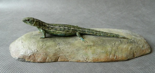 Náhledový obrázek předmětu Ještěrka obecná - Lacerta agilis