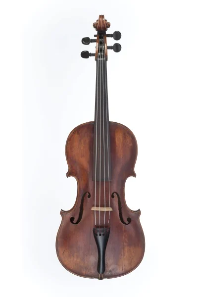 Náhledový obrázek předmětu Viola