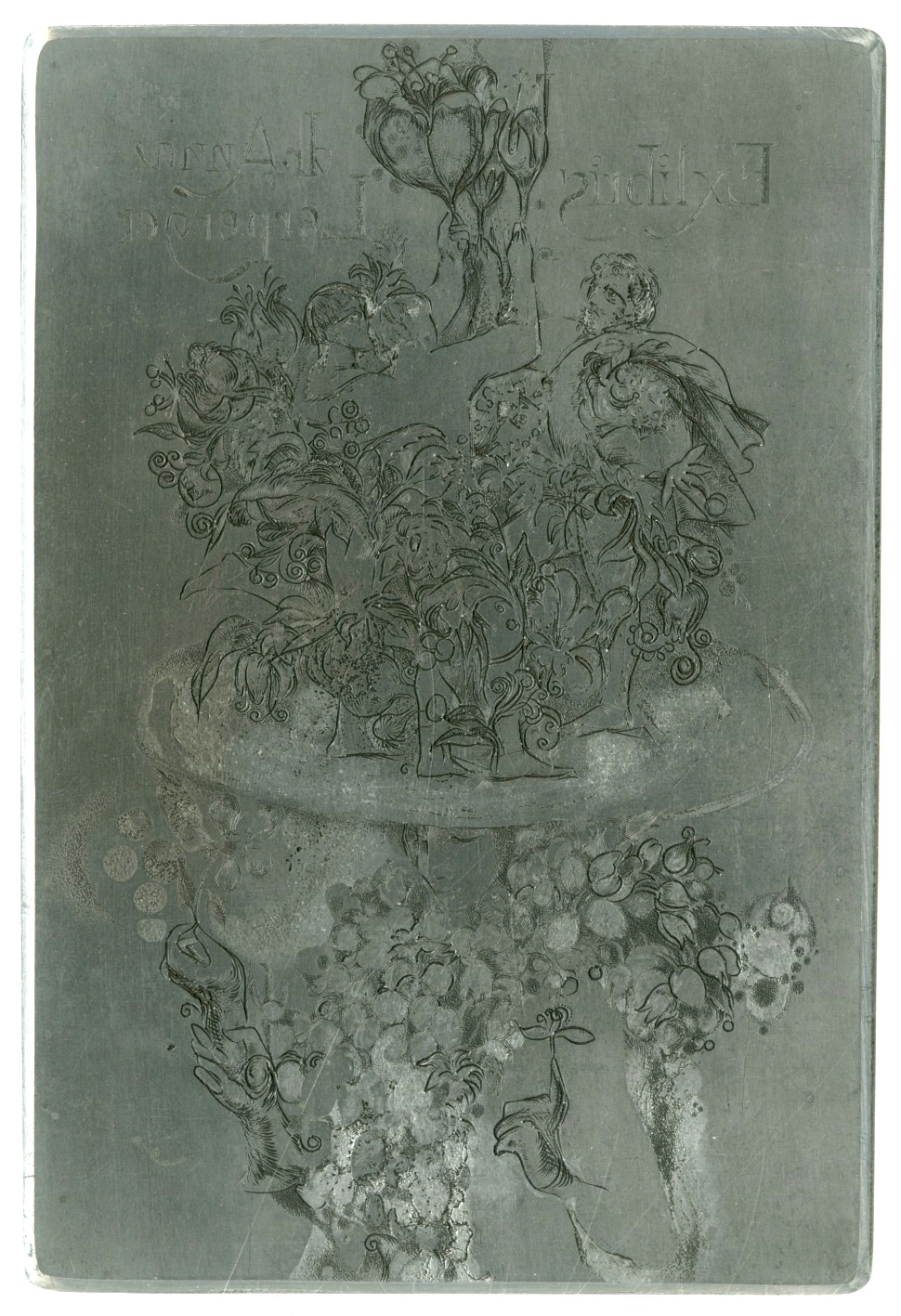 Náhledový obrázek Štoček Ivany Kantůrkové - exlibris Dr. Anna Lerperger - 1