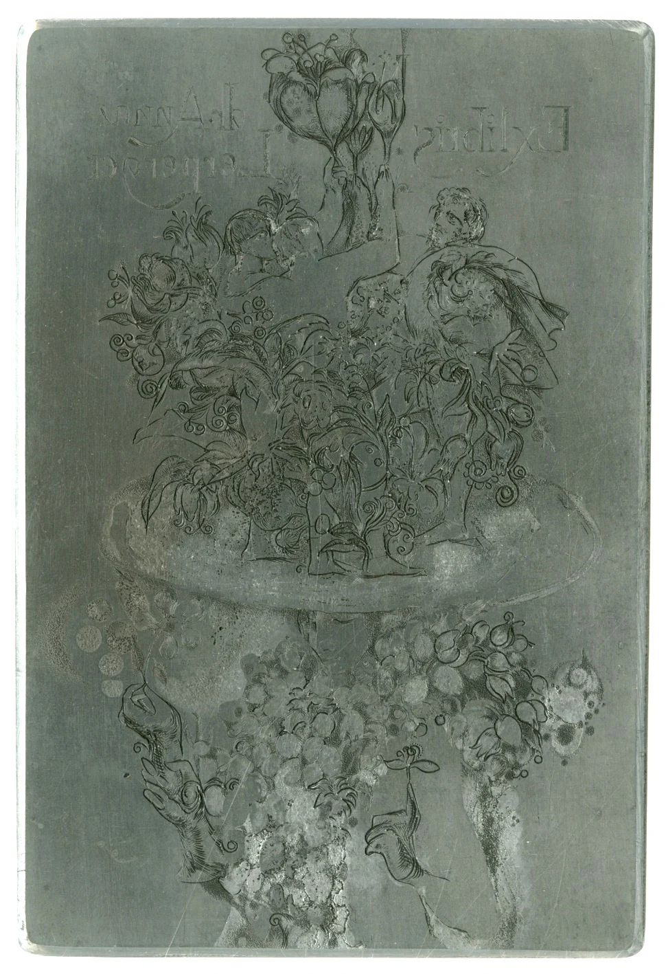 Náhledový obrázek předmětu Štoček Ivany Kantůrkové - exlibris Dr. Anna Lerperger