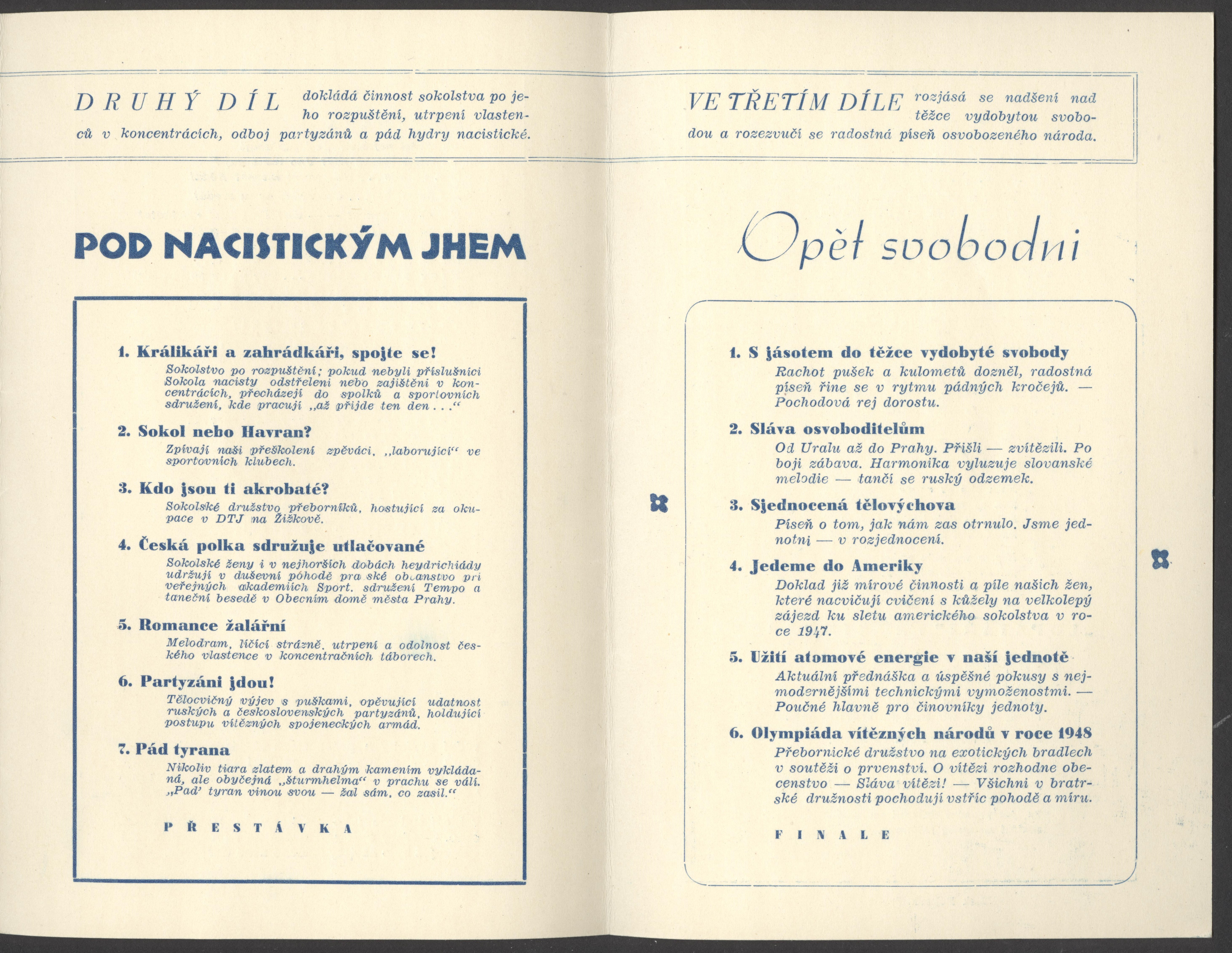 Náhledový obrázek Tělocvičná akademie Sokola Žižkov - 4