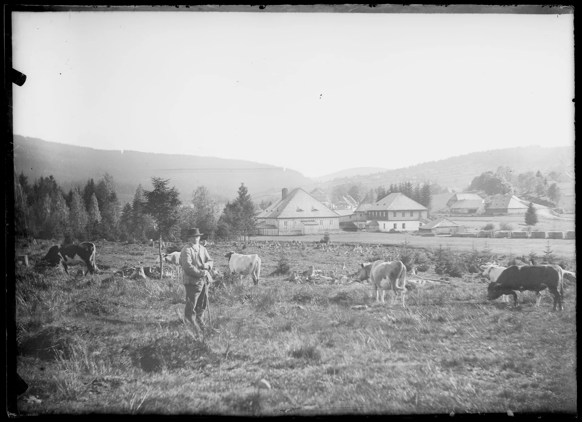 Náhledový obrázek předmětu panorama