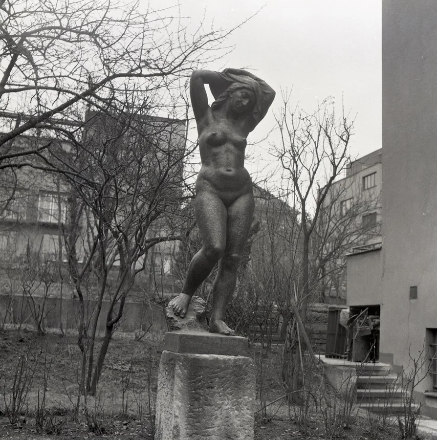 Náhledový obrázek předmětu Fotografie