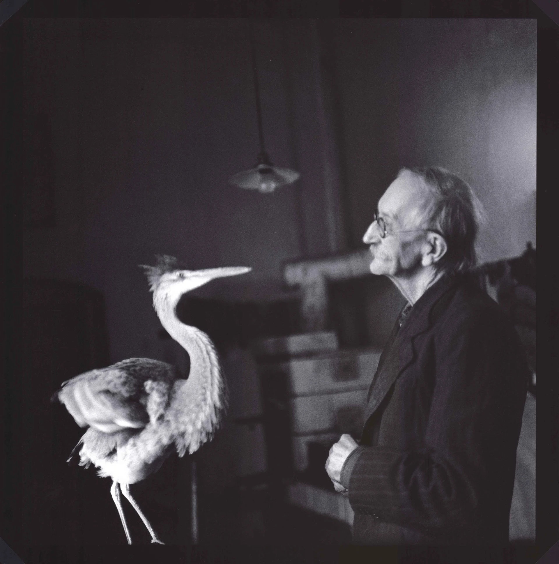 Náhledový obrázek předmětu Škoch Jiří, Bohuslav Reynek rozmlouvá s volavkou Věry Jirousové (ze souboru Petrkov Bohuslava Reynka 1967 – 1975)